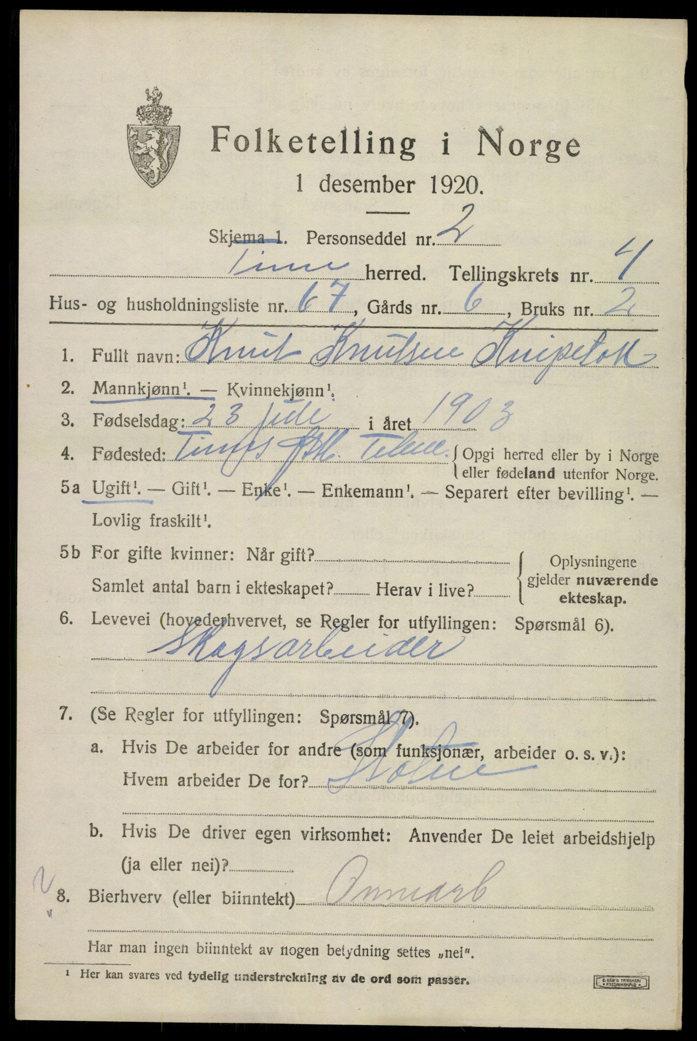 SAKO, 1920 census for Tinn, 1920, p. 4456