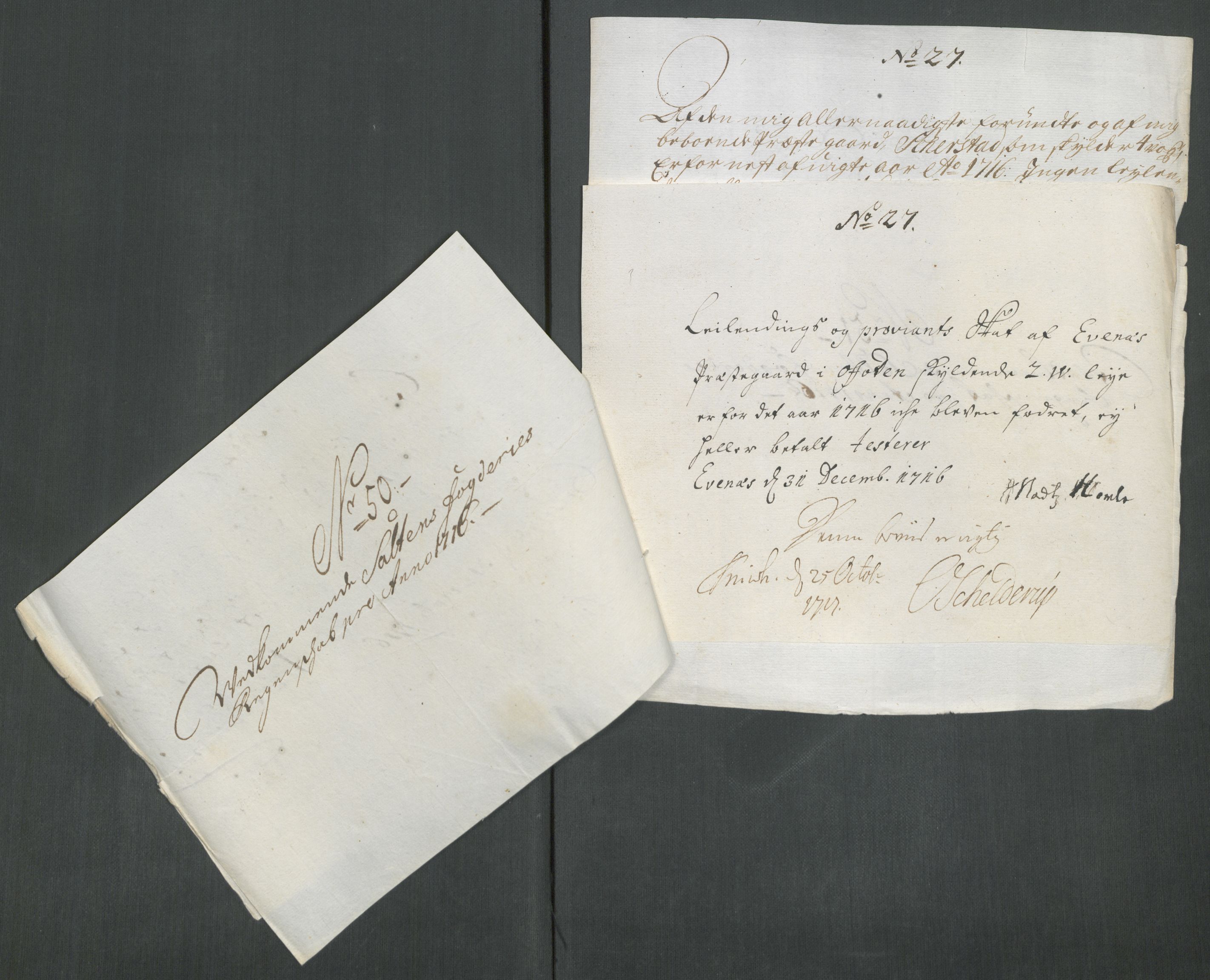 Rentekammeret inntil 1814, Reviderte regnskaper, Fogderegnskap, AV/RA-EA-4092/R66/L4586: Fogderegnskap Salten, 1716, p. 266