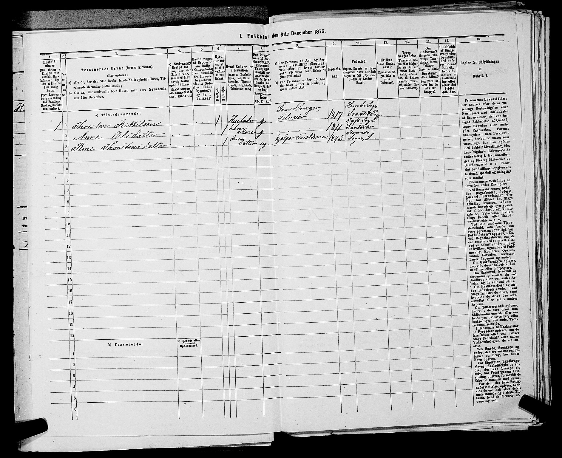 SAKO, 1875 census for 0629P Sandsvær, 1875, p. 313