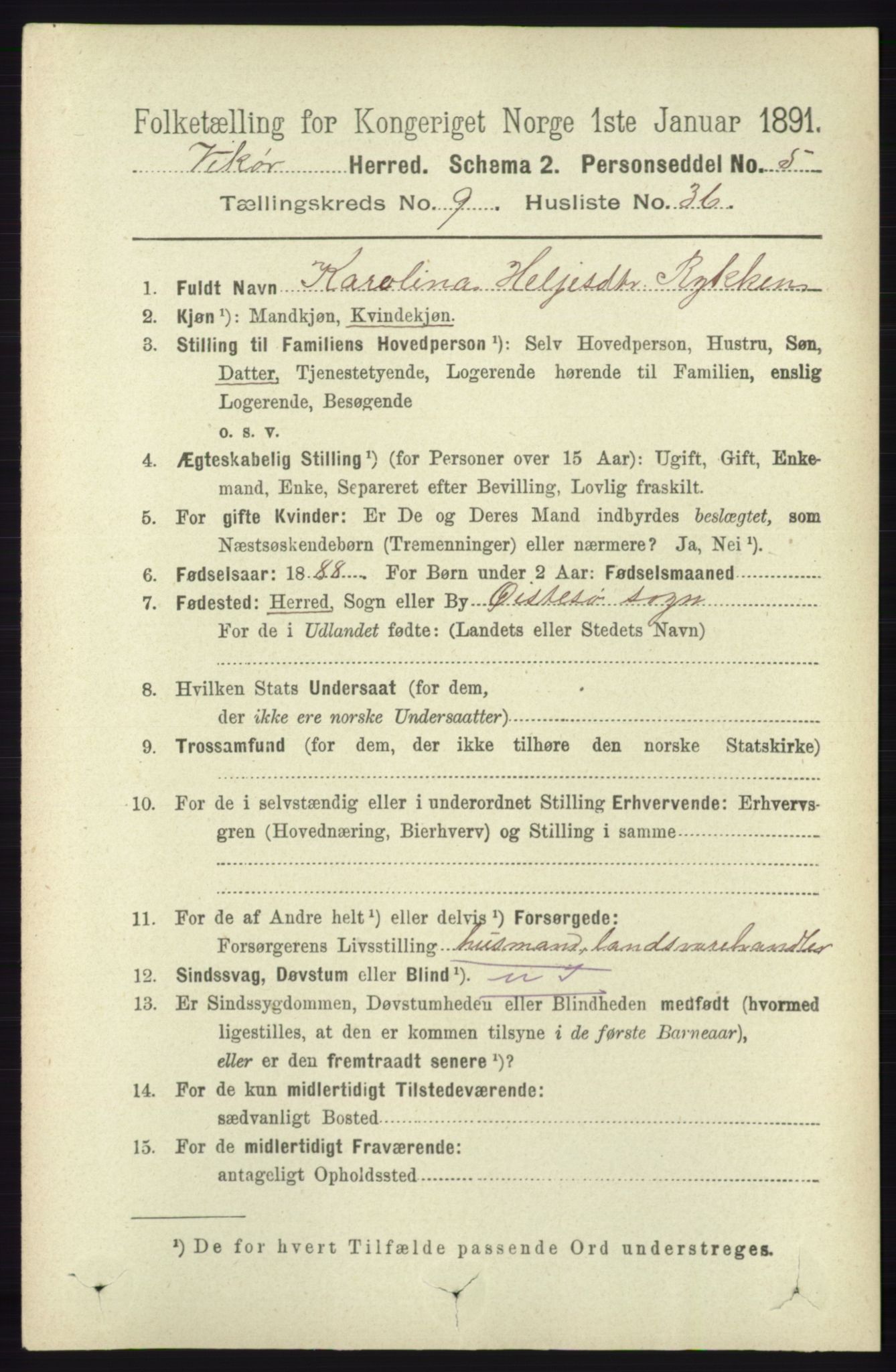 RA, 1891 census for 1238 Vikør, 1891, p. 2889