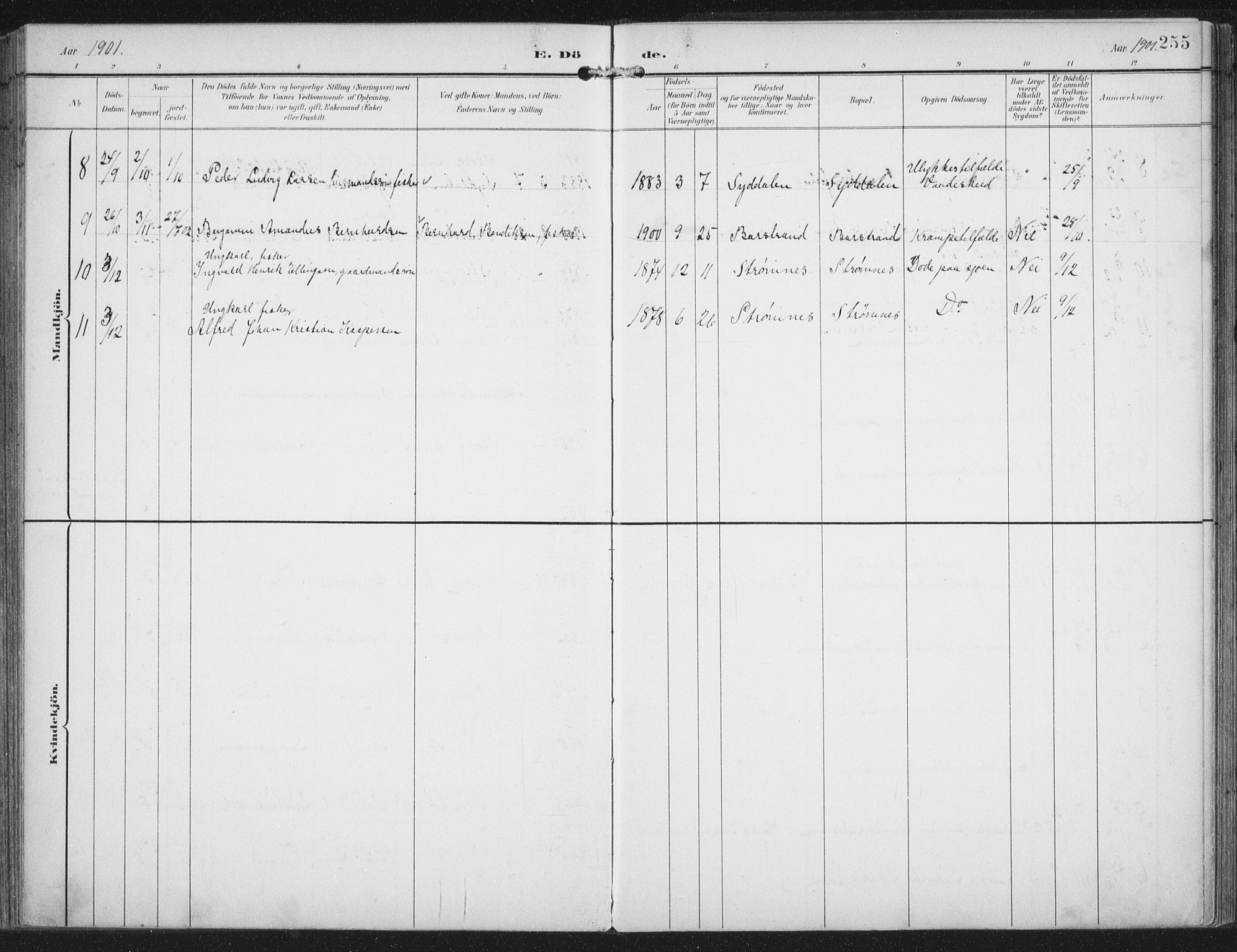 Ministerialprotokoller, klokkerbøker og fødselsregistre - Nordland, AV/SAT-A-1459/876/L1098: Parish register (official) no. 876A04, 1896-1915, p. 255