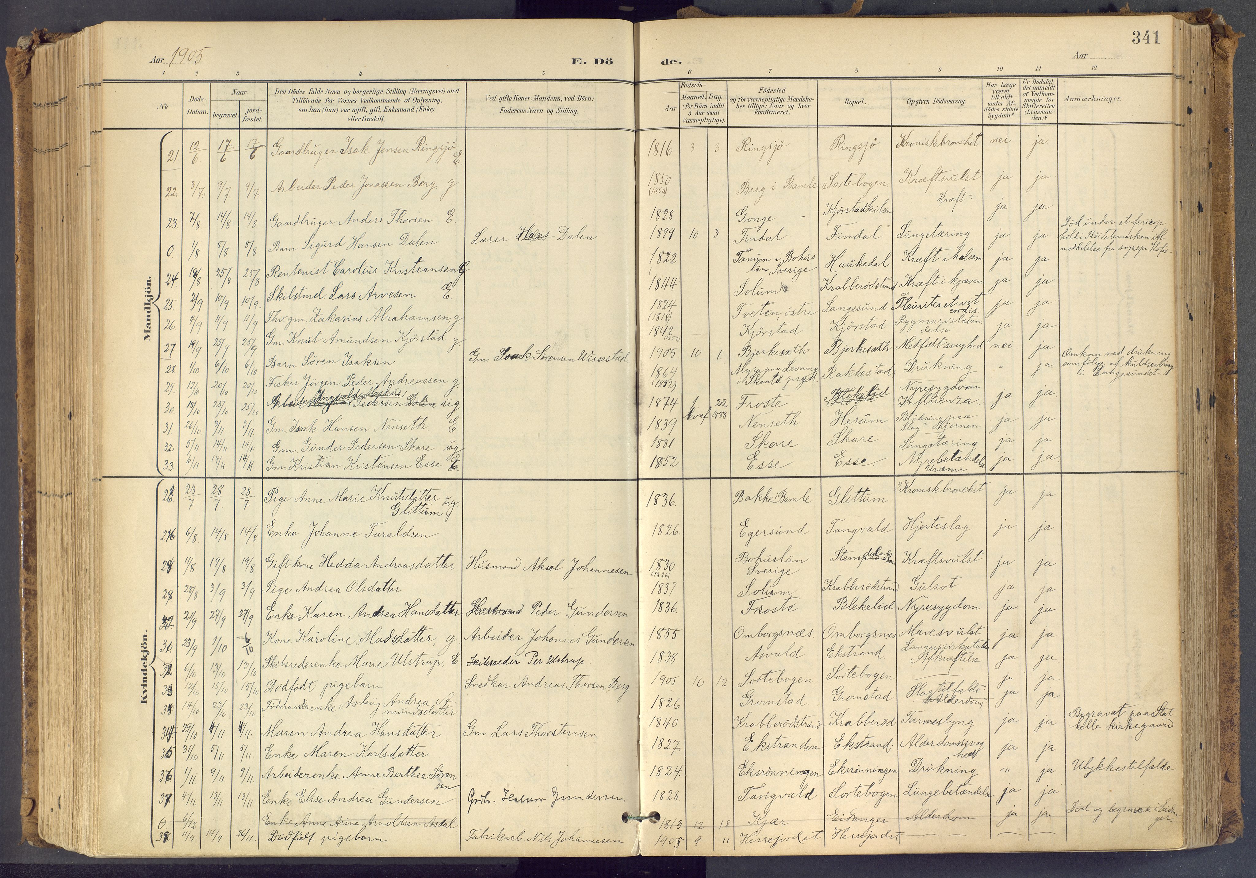 Bamble kirkebøker, SAKO/A-253/F/Fa/L0009: Parish register (official) no. I 9, 1901-1917, p. 341