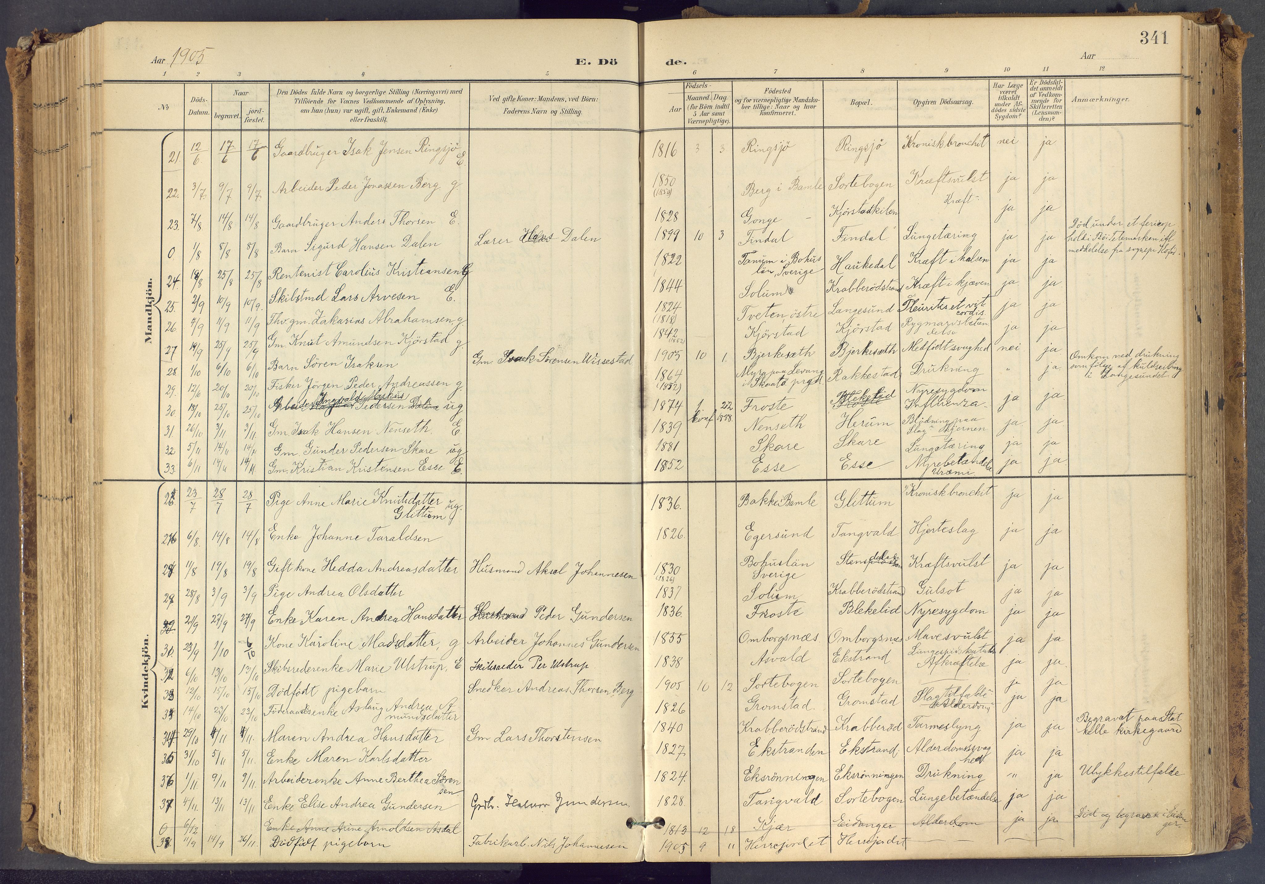 Bamble kirkebøker, AV/SAKO-A-253/F/Fa/L0009: Parish register (official) no. I 9, 1901-1917, p. 341