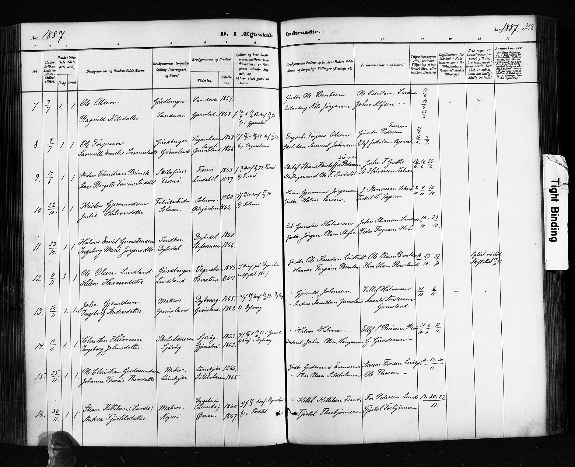 Søndeled sokneprestkontor, AV/SAK-1111-0038/F/Fa/L0004: Parish register (official) no. A 4, 1880-1889, p. 258