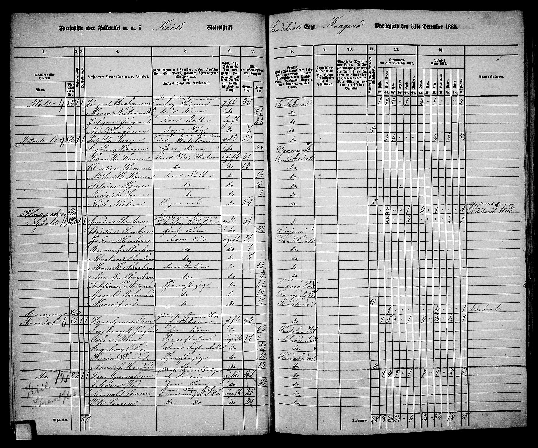 RA, 1865 census for Kragerø/Sannidal og Skåtøy, 1865, p. 45