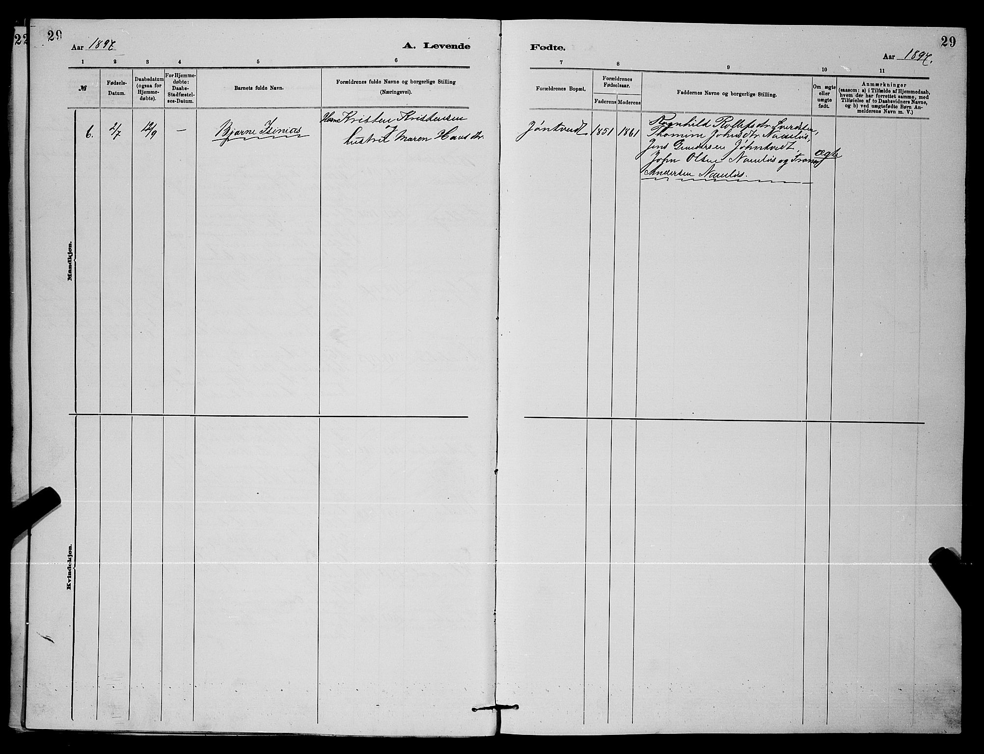 Holla kirkebøker, SAKO/A-272/G/Gb/L0001: Parish register (copy) no. II 1, 1882-1897, p. 29