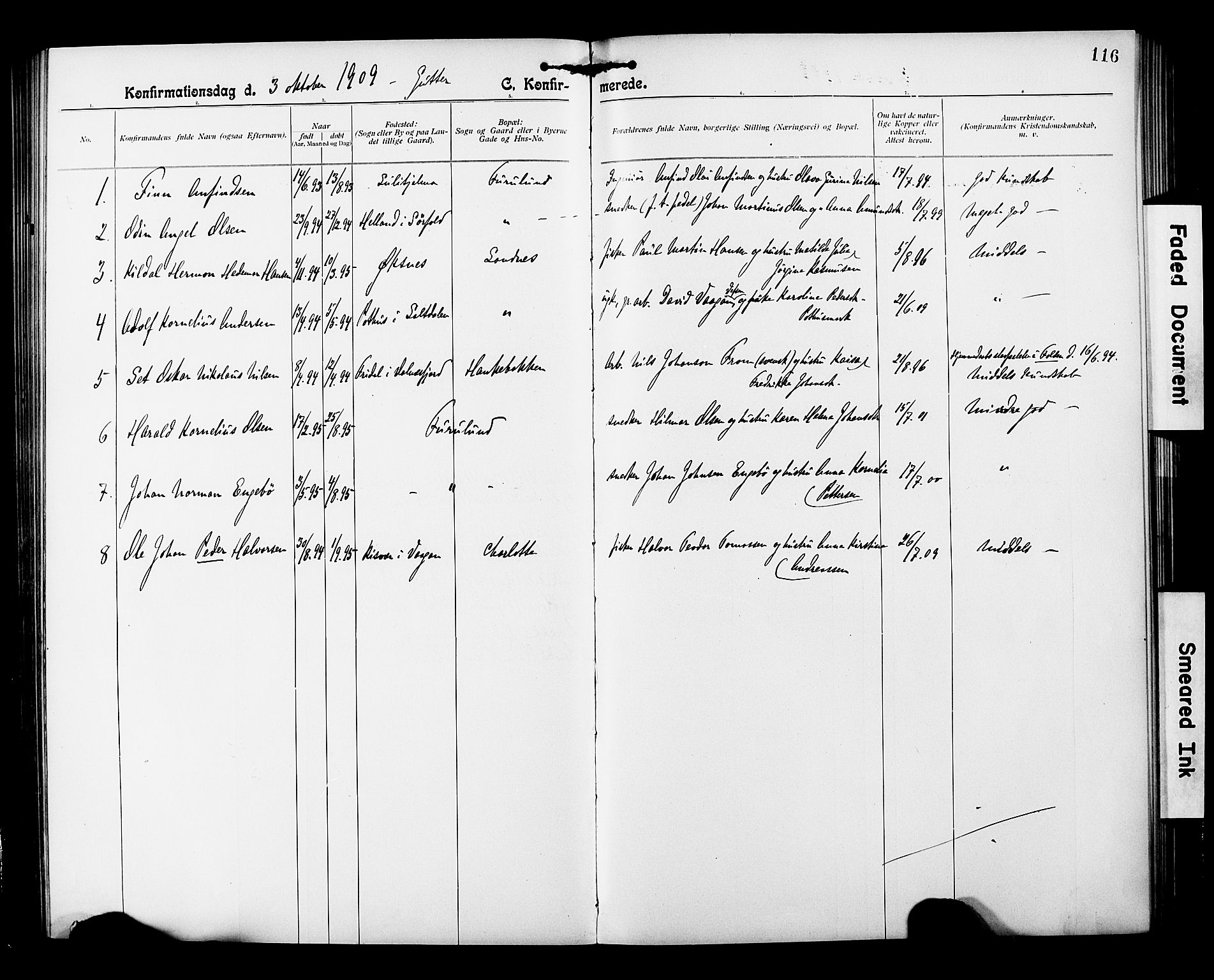 Ministerialprotokoller, klokkerbøker og fødselsregistre - Nordland, AV/SAT-A-1459/850/L0709: Parish register (official) no. 850A01, 1899-1909, p. 116