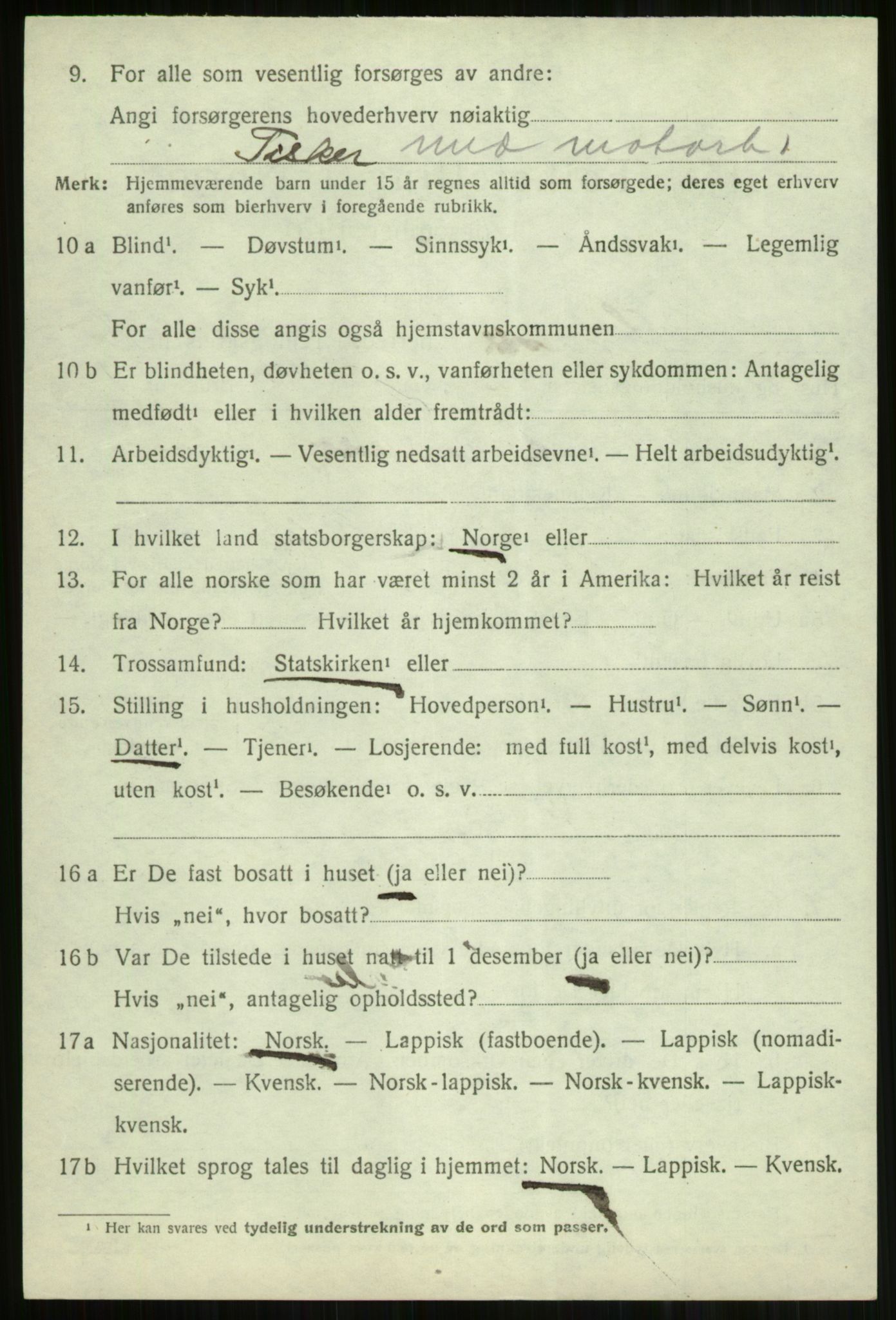SATØ, 1920 census for Lyngen, 1920, p. 12996