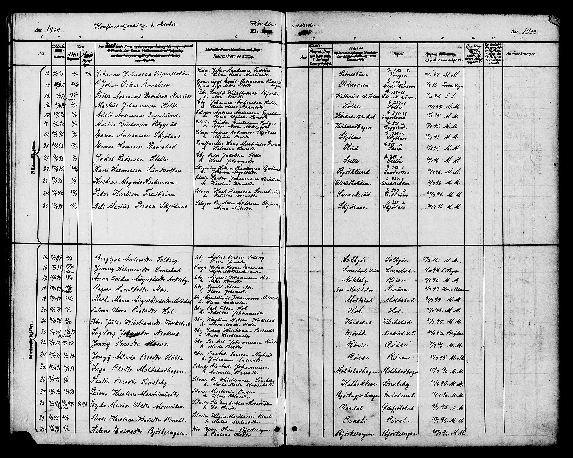 Vestre Toten prestekontor, SAH/PREST-108/H/Ha/Hab/L0011: Parish register (copy) no. 11, 1901-1911, p. 195