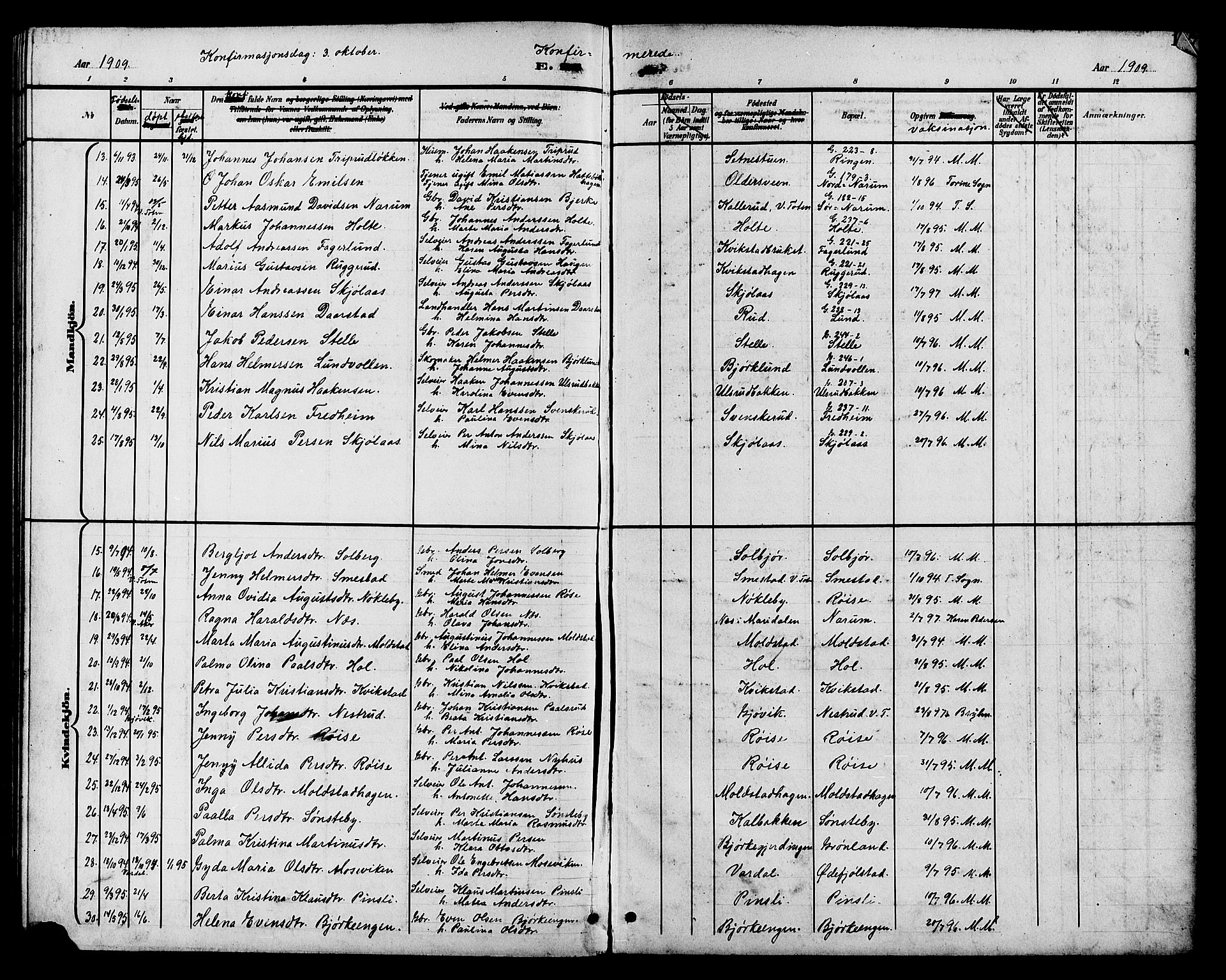 Vestre Toten prestekontor, AV/SAH-PREST-108/H/Ha/Hab/L0011: Parish register (copy) no. 11, 1901-1911, p. 195
