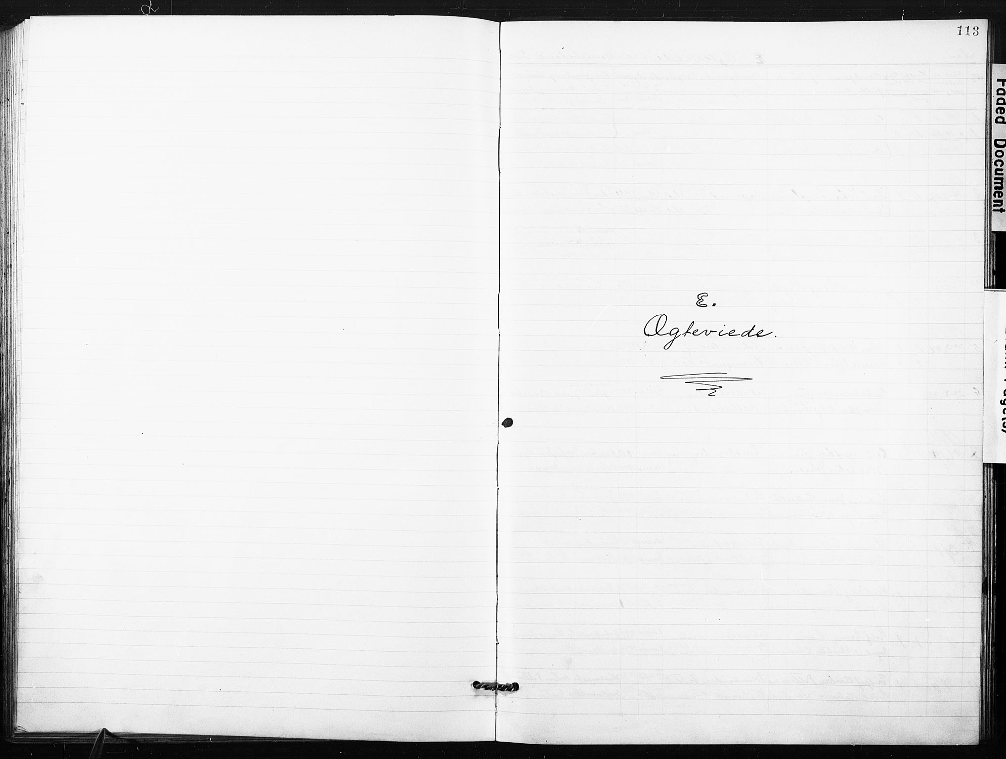 Kristi menighet Fredrikstad , SAO/PAO-0231/A/L0002: Dissenter register no. 2, 1904-1932, p. 113