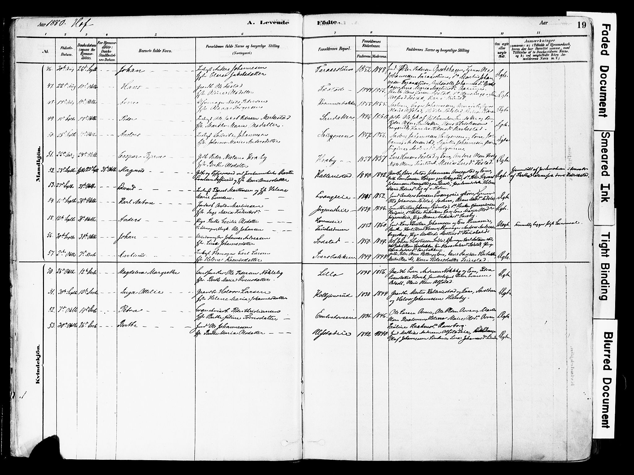 Østre Toten prestekontor, AV/SAH-PREST-104/H/Ha/Haa/L0006: Parish register (official) no. 6 /1, 1878-1896, p. 19