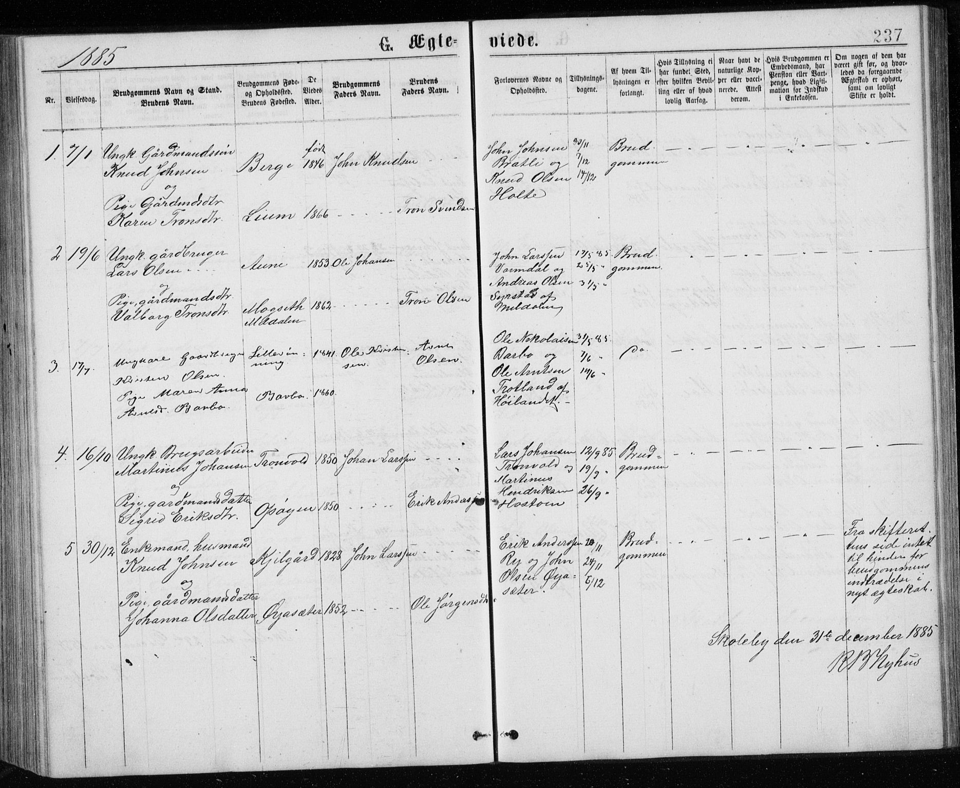 Ministerialprotokoller, klokkerbøker og fødselsregistre - Sør-Trøndelag, SAT/A-1456/671/L0843: Parish register (copy) no. 671C02, 1873-1892, p. 237