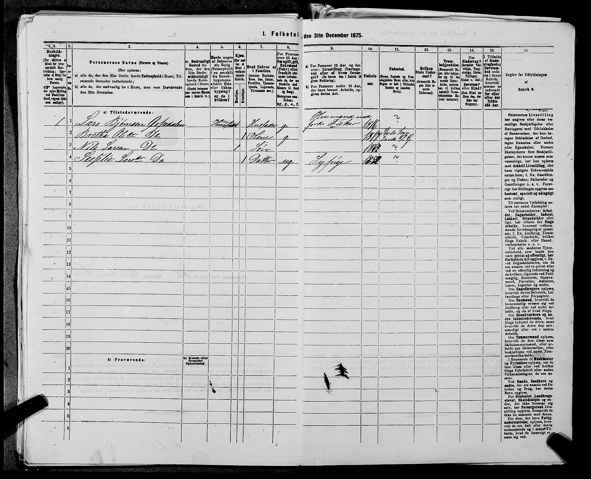 SAST, 1875 census for 1138P Jelsa, 1875, p. 405