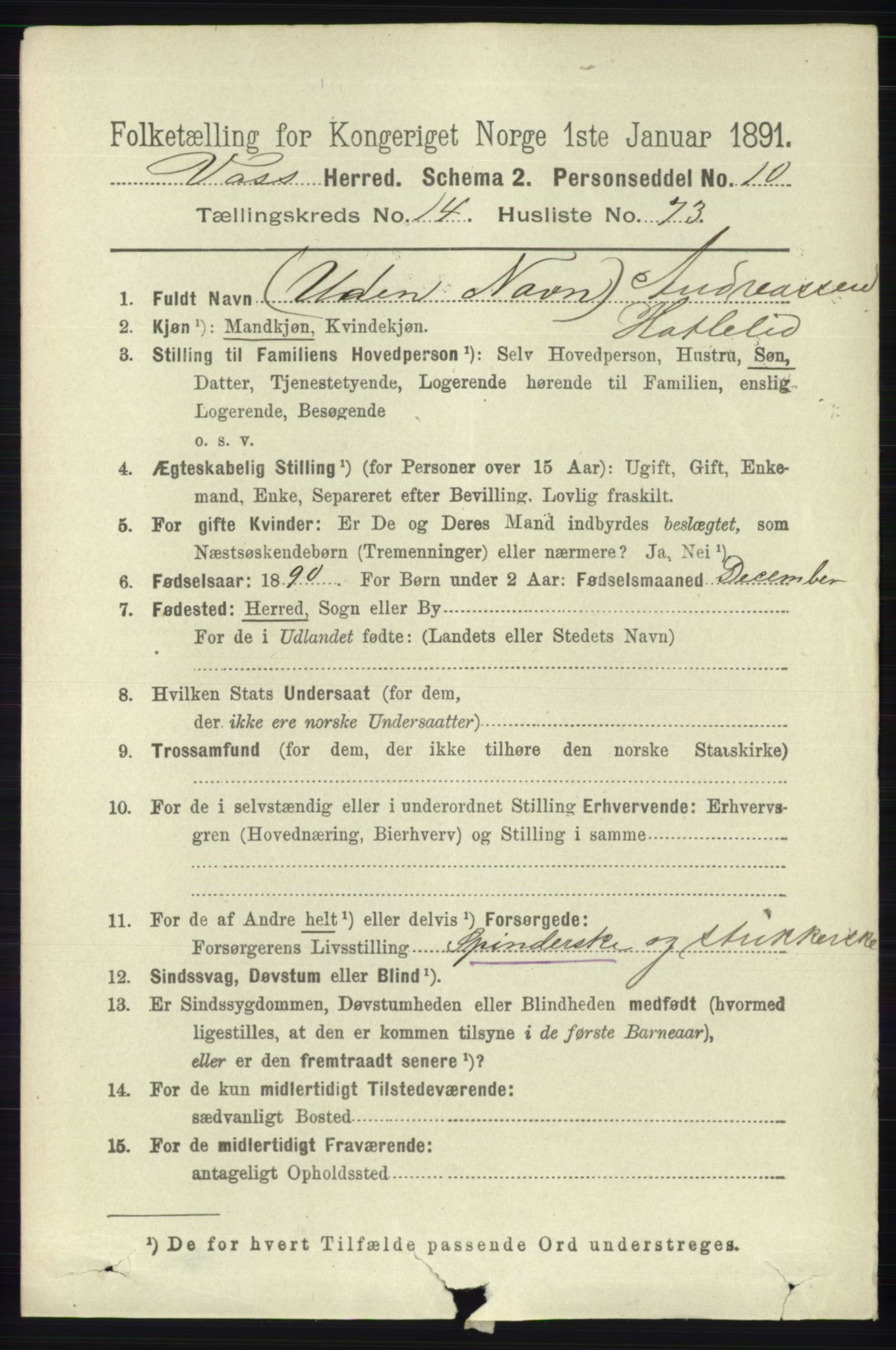 RA, 1891 census for 1235 Voss, 1891, p. 7705