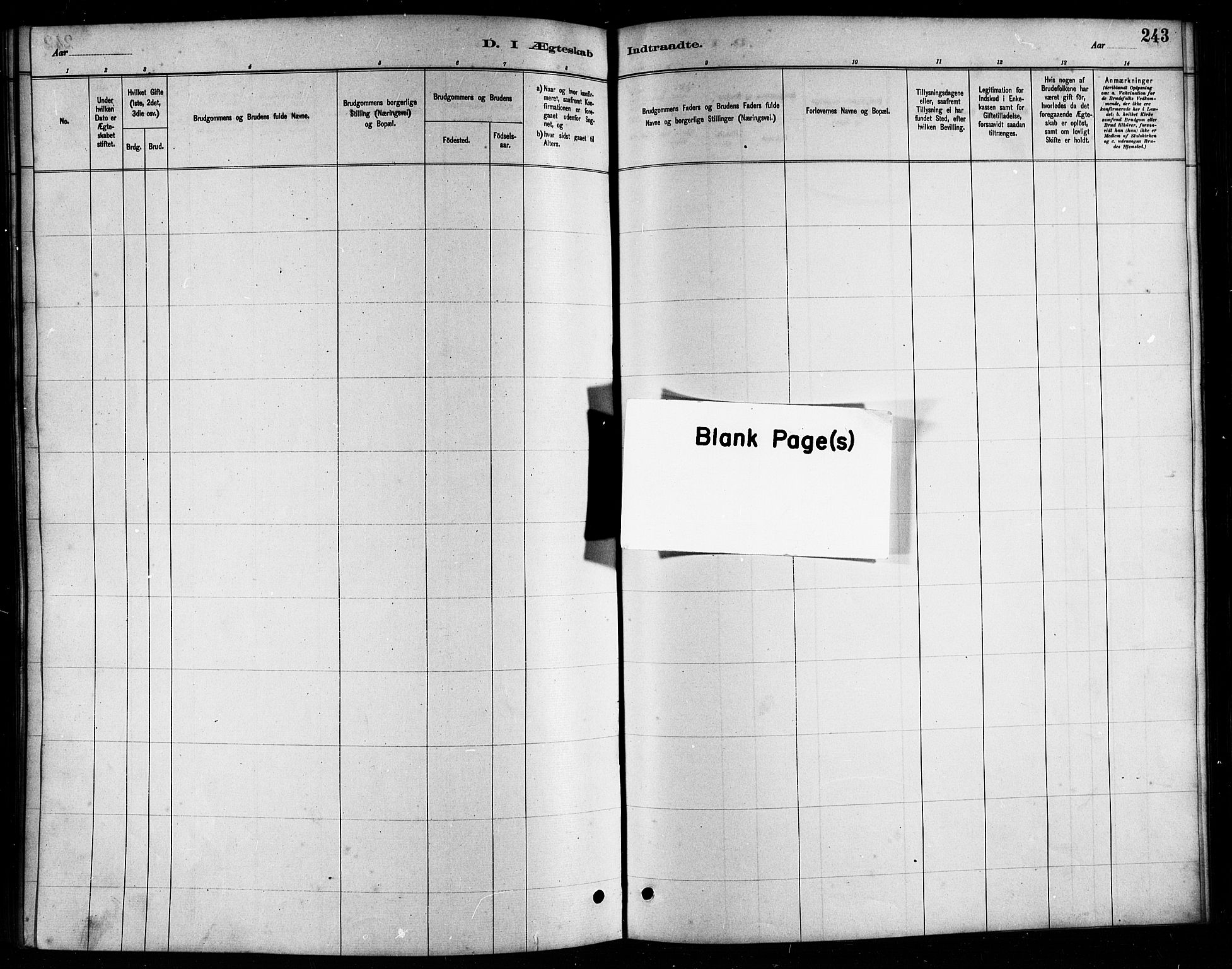 Ministerialprotokoller, klokkerbøker og fødselsregistre - Nordland, AV/SAT-A-1459/857/L0828: Parish register (copy) no. 857C03, 1879-1908, p. 243