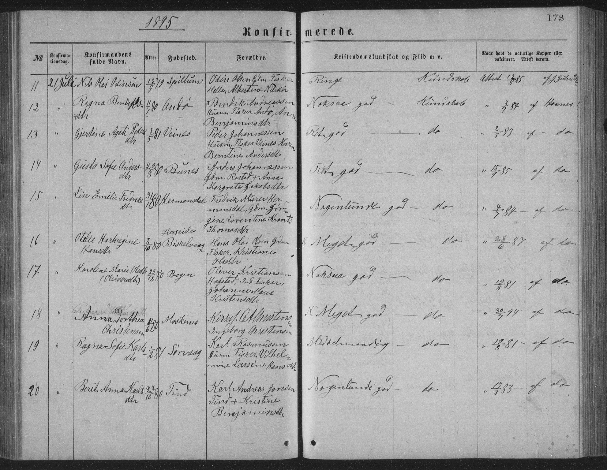 Ministerialprotokoller, klokkerbøker og fødselsregistre - Nordland, AV/SAT-A-1459/886/L1225: Parish register (copy) no. 886C02, 1874-1896, p. 173