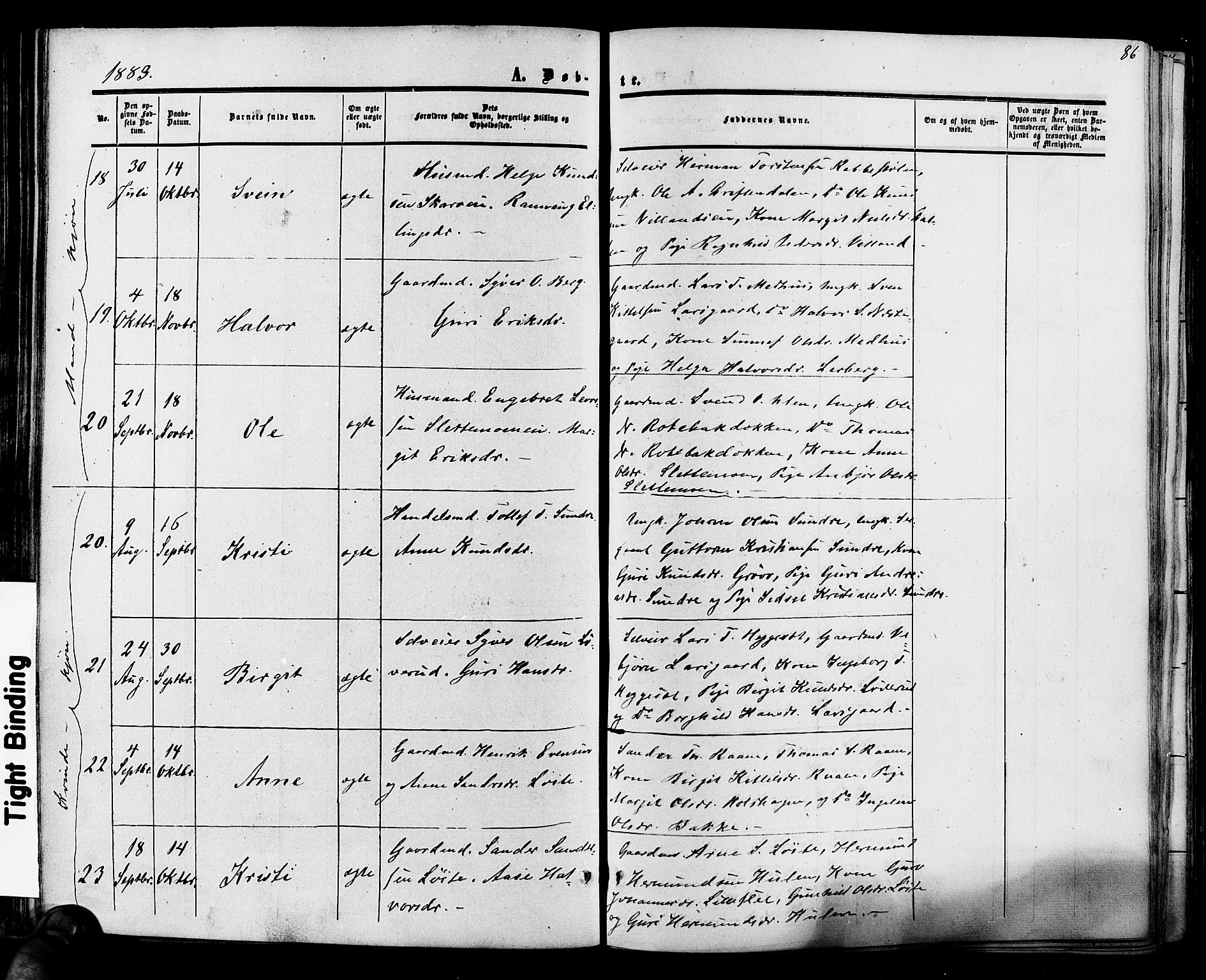 Hol kirkebøker, AV/SAKO-A-227/F/Fa/L0002: Parish register (official) no. I 2, 1870-1886, p. 86