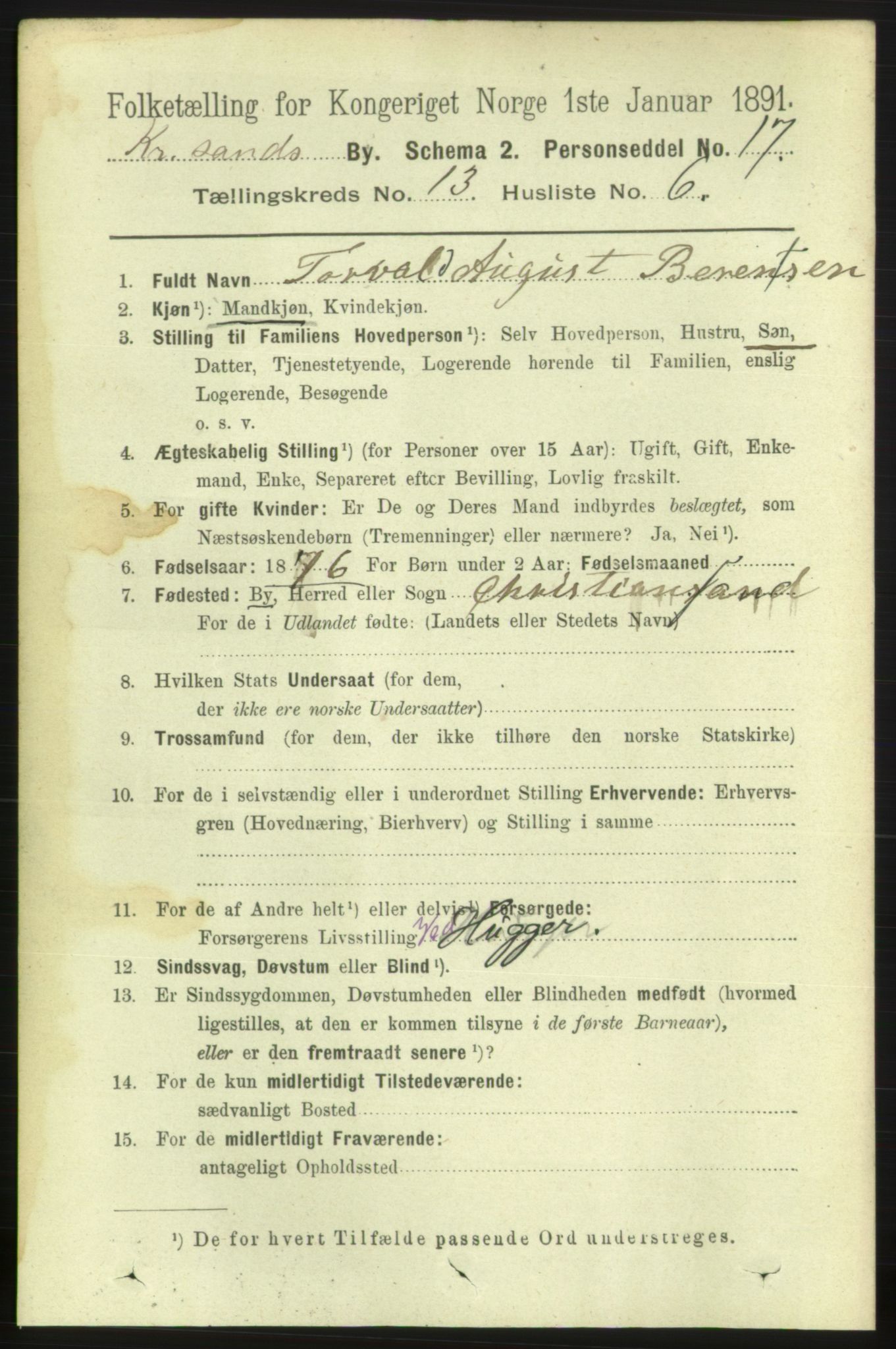 RA, 1891 census for 1001 Kristiansand, 1891, p. 6125