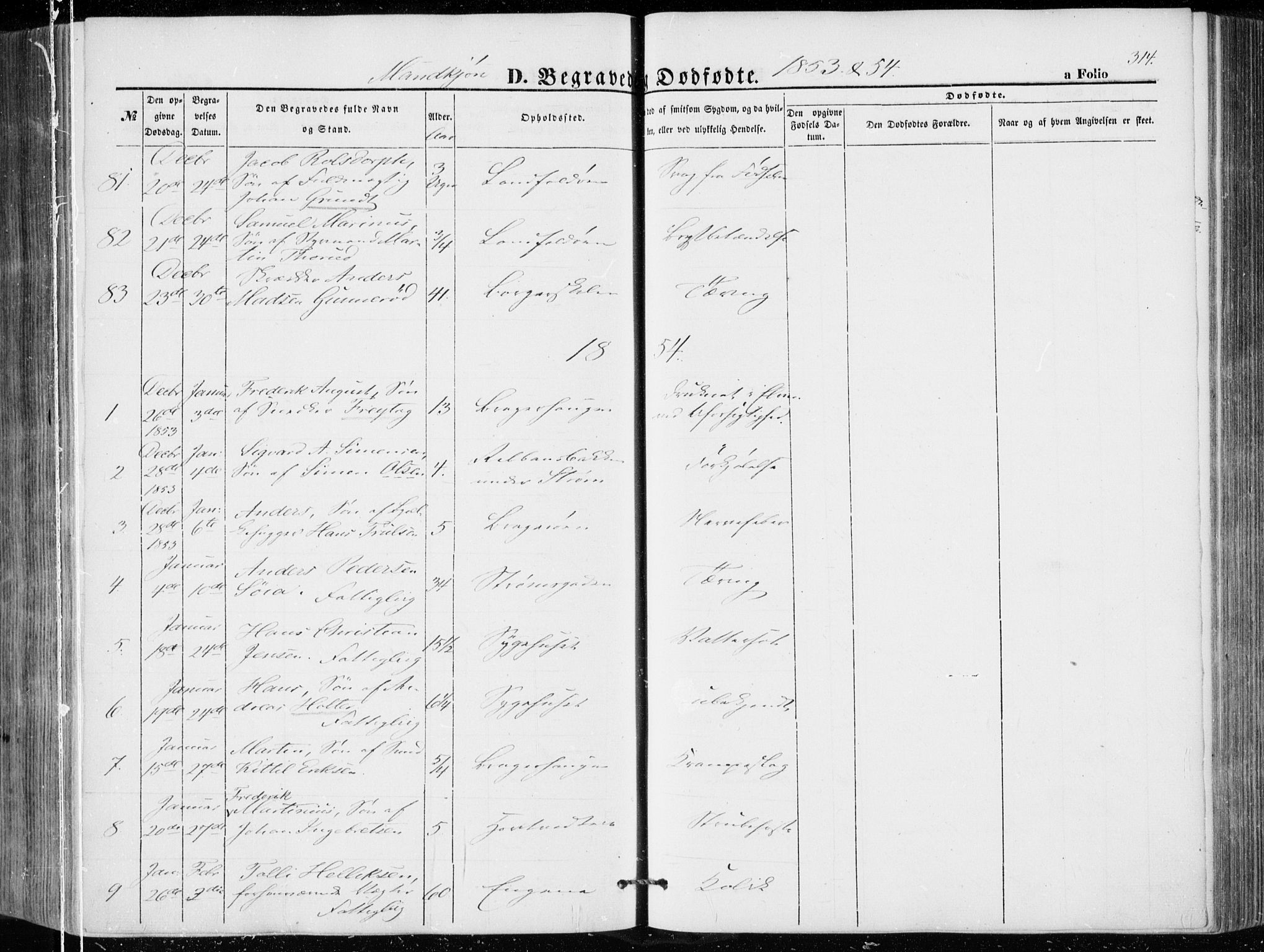 Bragernes kirkebøker, AV/SAKO-A-6/F/Fb/L0002: Parish register (official) no. II 2, 1848-1859, p. 314