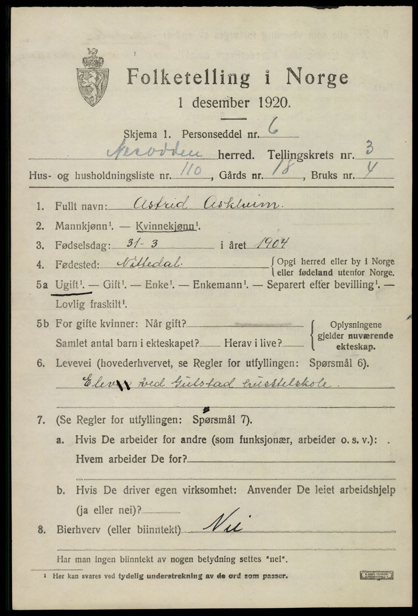 SAO, 1920 census for Nesodden, 1920, p. 3749