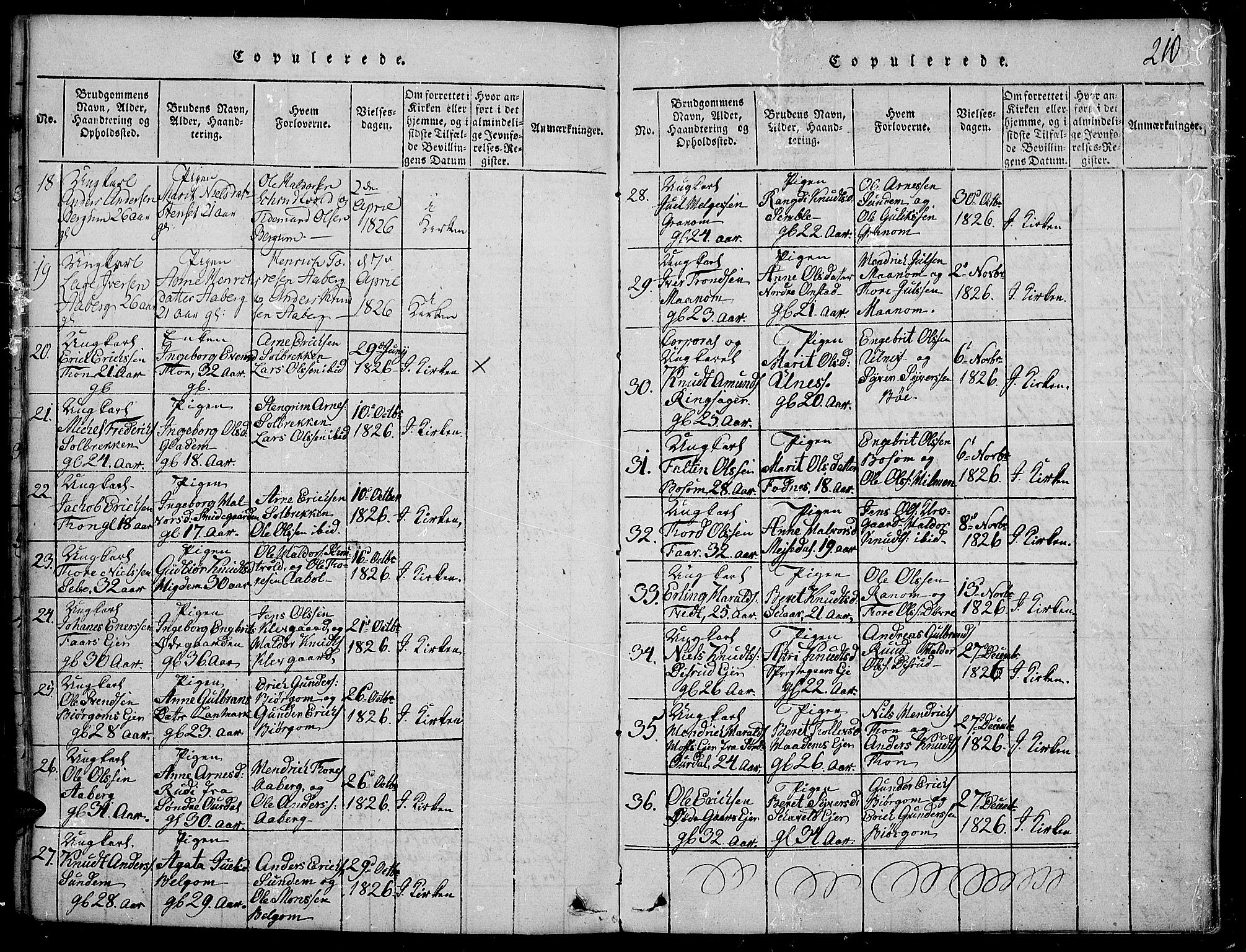 Nord-Aurdal prestekontor, SAH/PREST-132/H/Ha/Haa/L0002: Parish register (official) no. 2, 1816-1828, p. 210