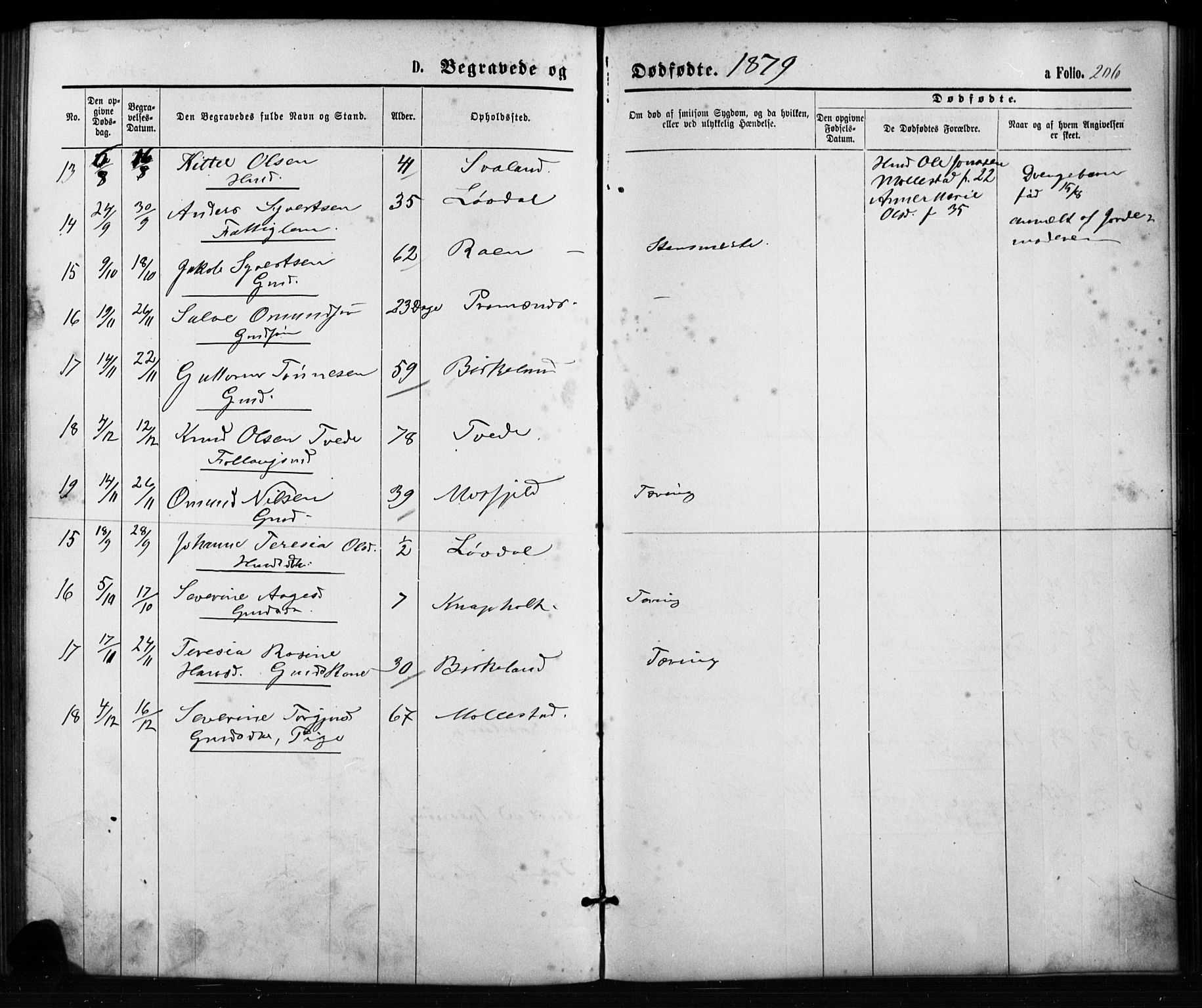 Birkenes sokneprestkontor, SAK/1111-0004/F/Fb/L0003: Parish register (copy) no. B 3, 1876-1892, p. 206