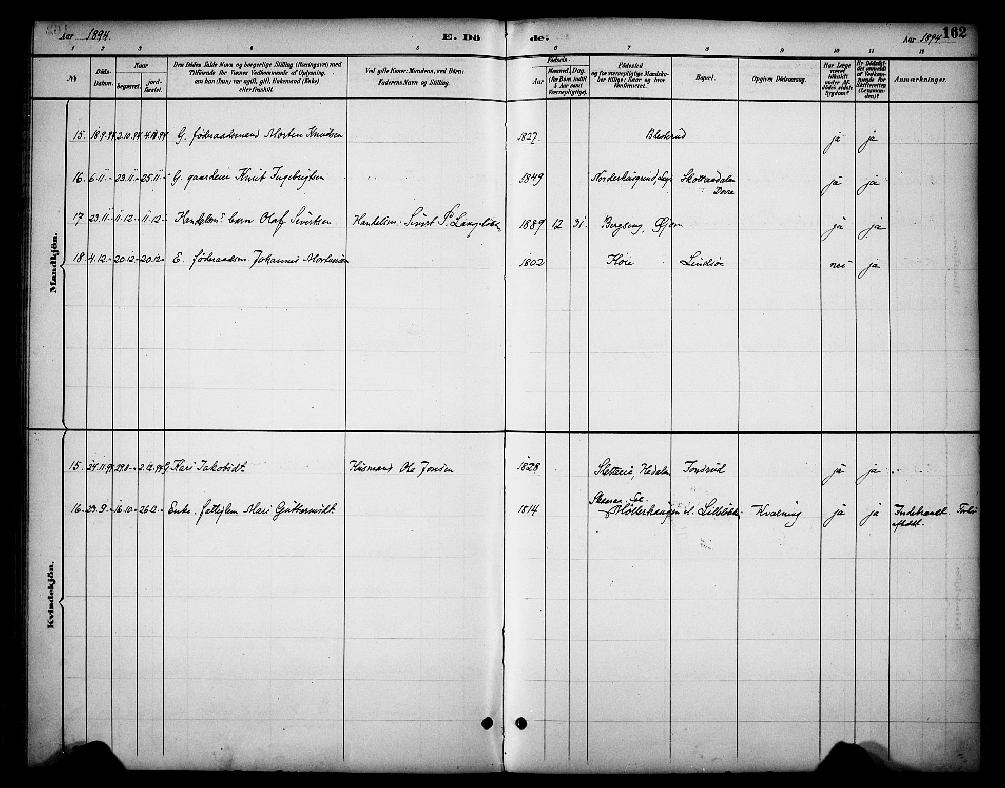 Dovre prestekontor, SAH/PREST-066/H/Ha/Haa/L0003: Parish register (official) no. 3, 1891-1901, p. 162