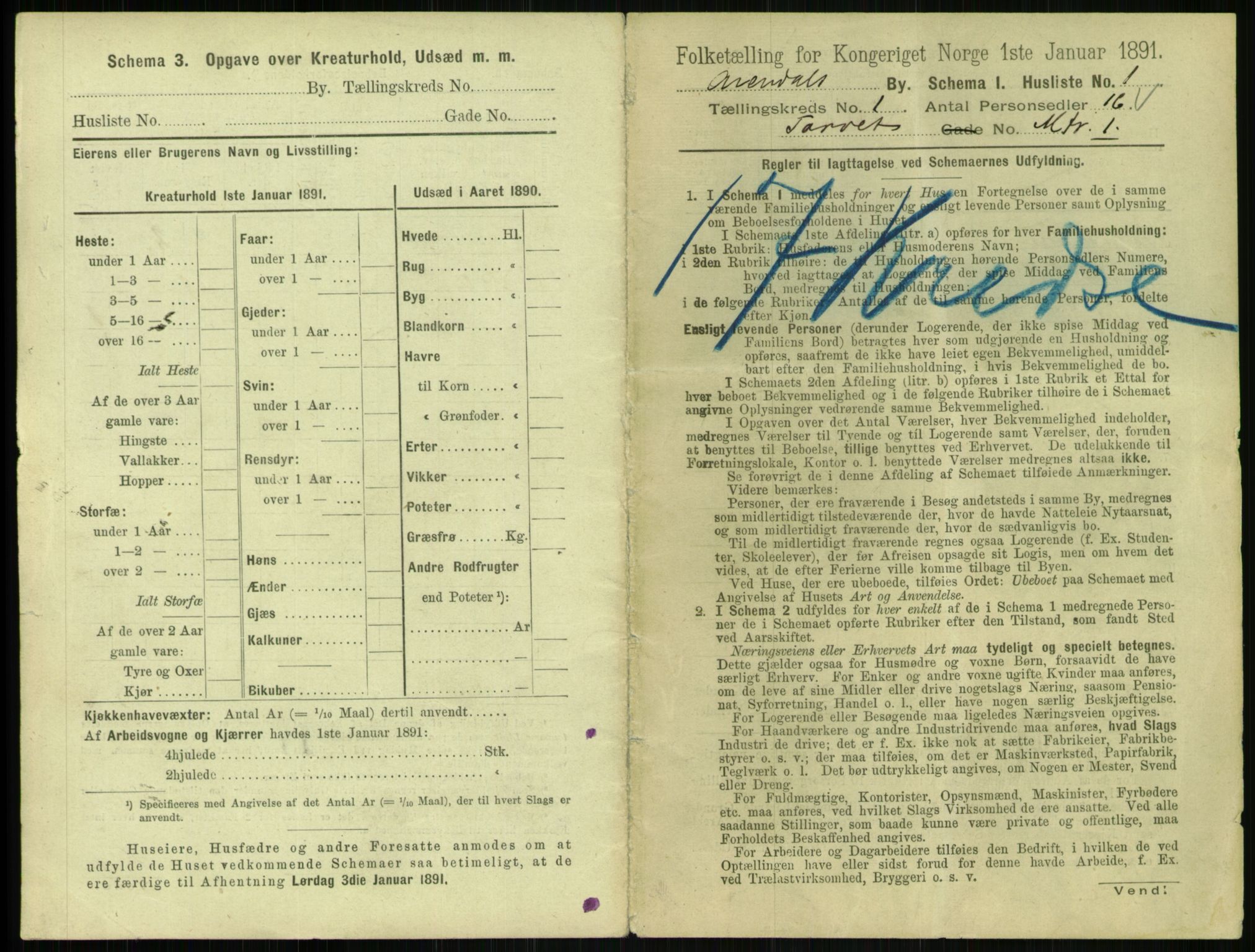 RA, 1891 census for 0903 Arendal, 1891, p. 36