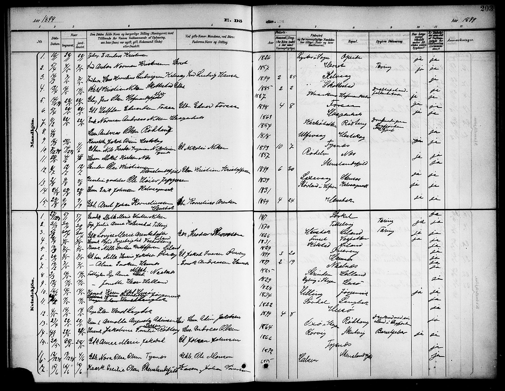 Ministerialprotokoller, klokkerbøker og fødselsregistre - Nordland, AV/SAT-A-1459/859/L0860: Parish register (copy) no. 859C06, 1899-1909, p. 203