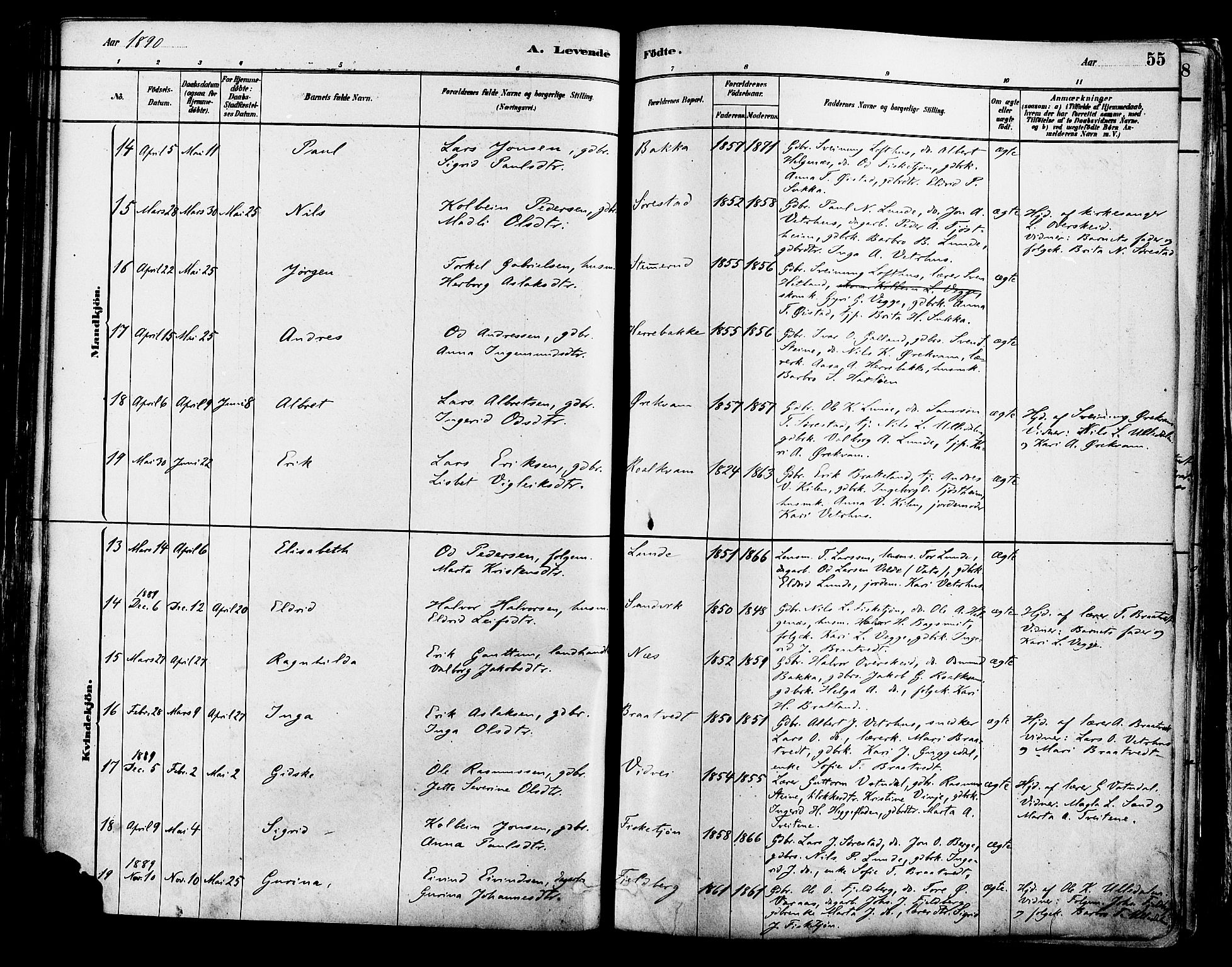 Suldal sokneprestkontor, AV/SAST-A-101845/01/IV/L0011: Parish register (official) no. A 11, 1878-1900, p. 55