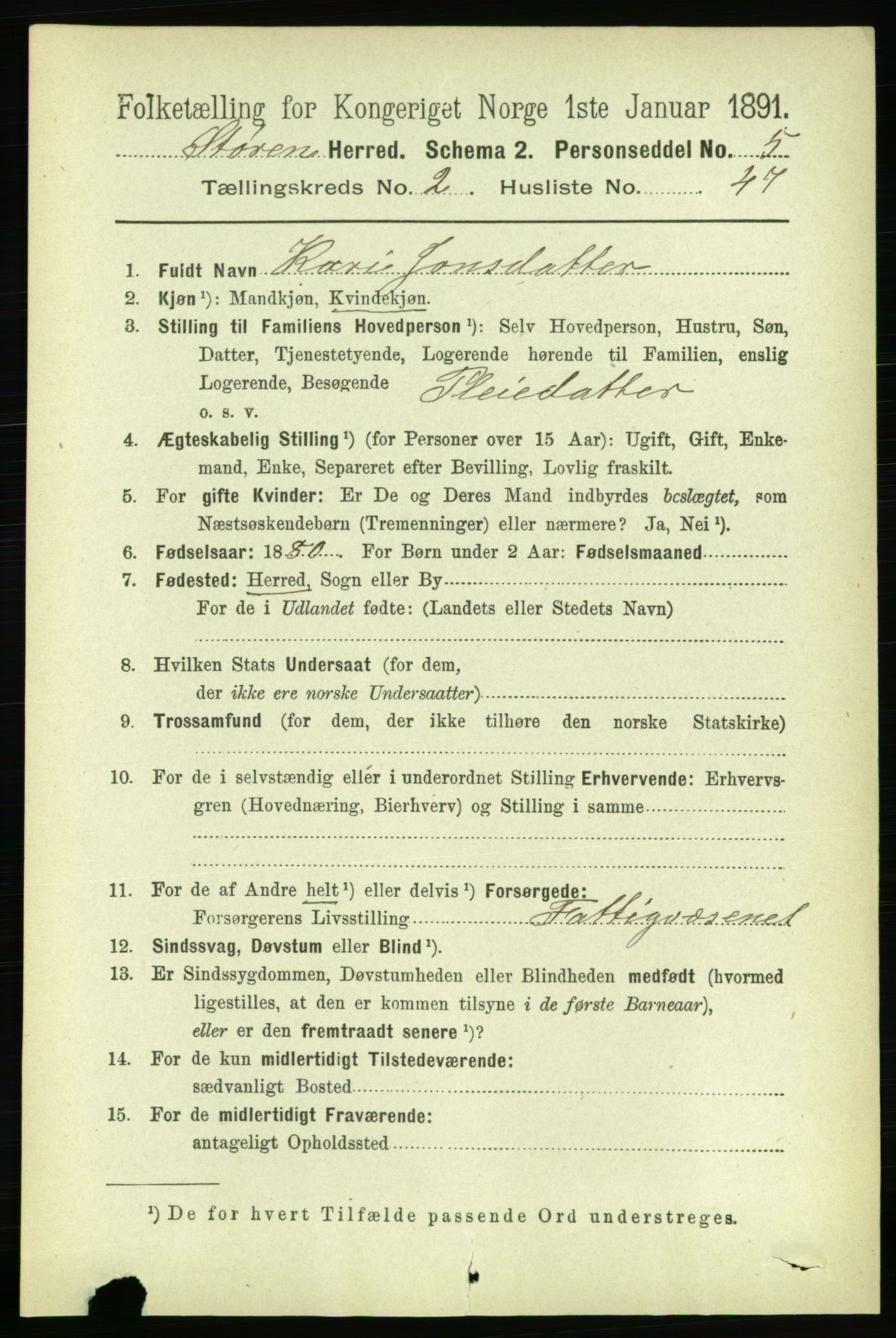 RA, 1891 census for 1648 Støren, 1891, p. 719