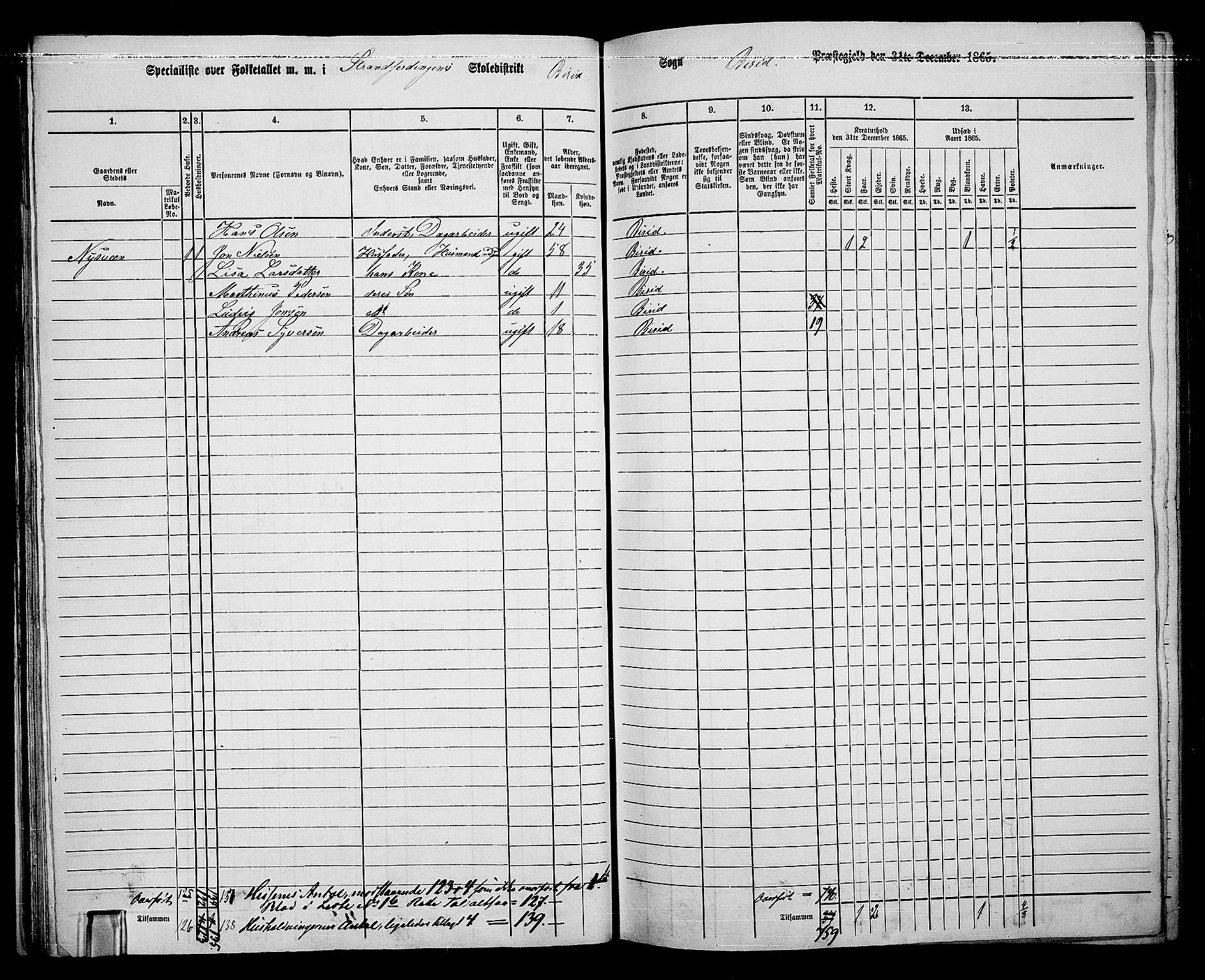 RA, 1865 census for Biri, 1865, p. 39