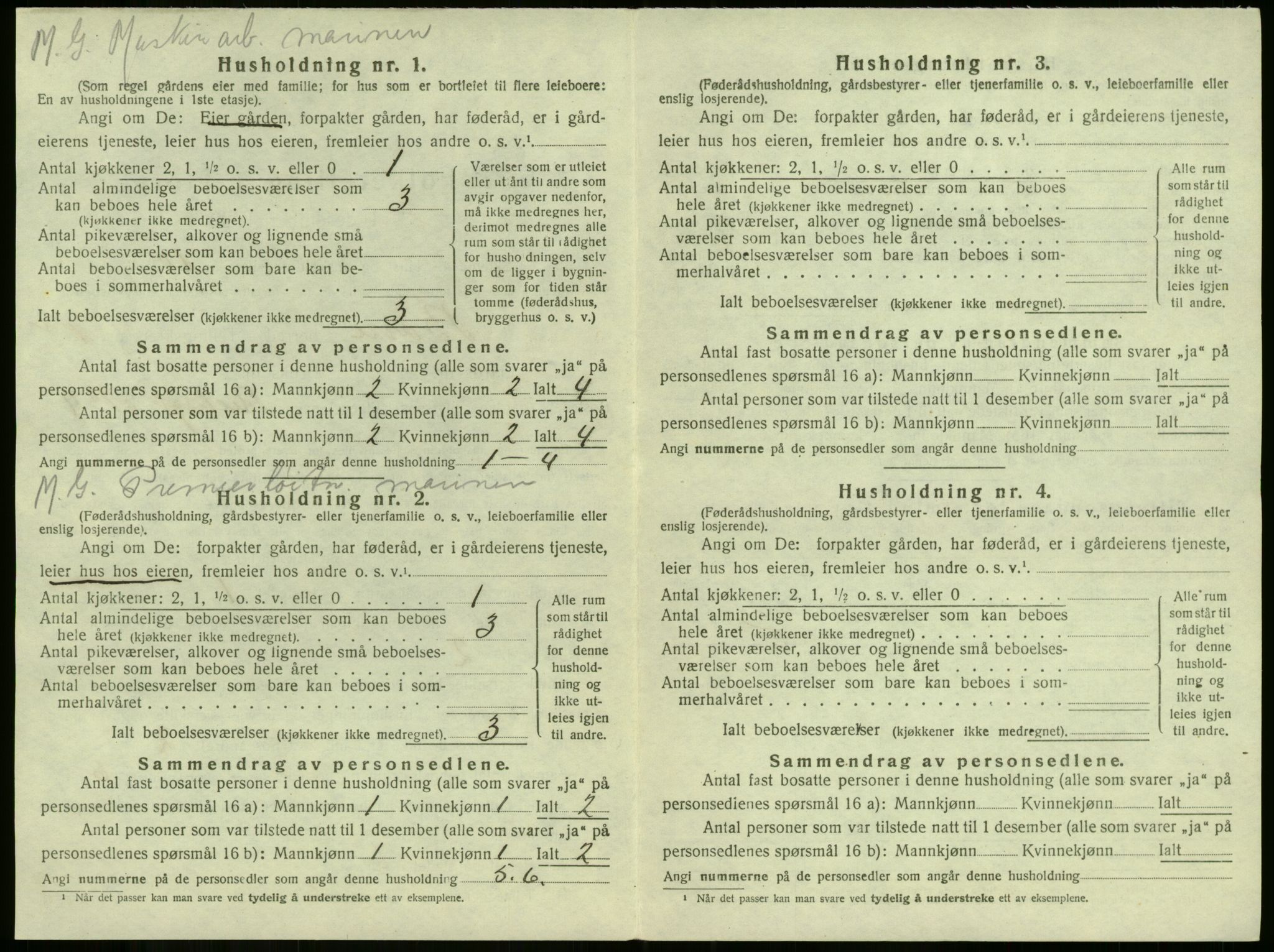 SAKO, 1920 census for Borre, 1920, p. 51