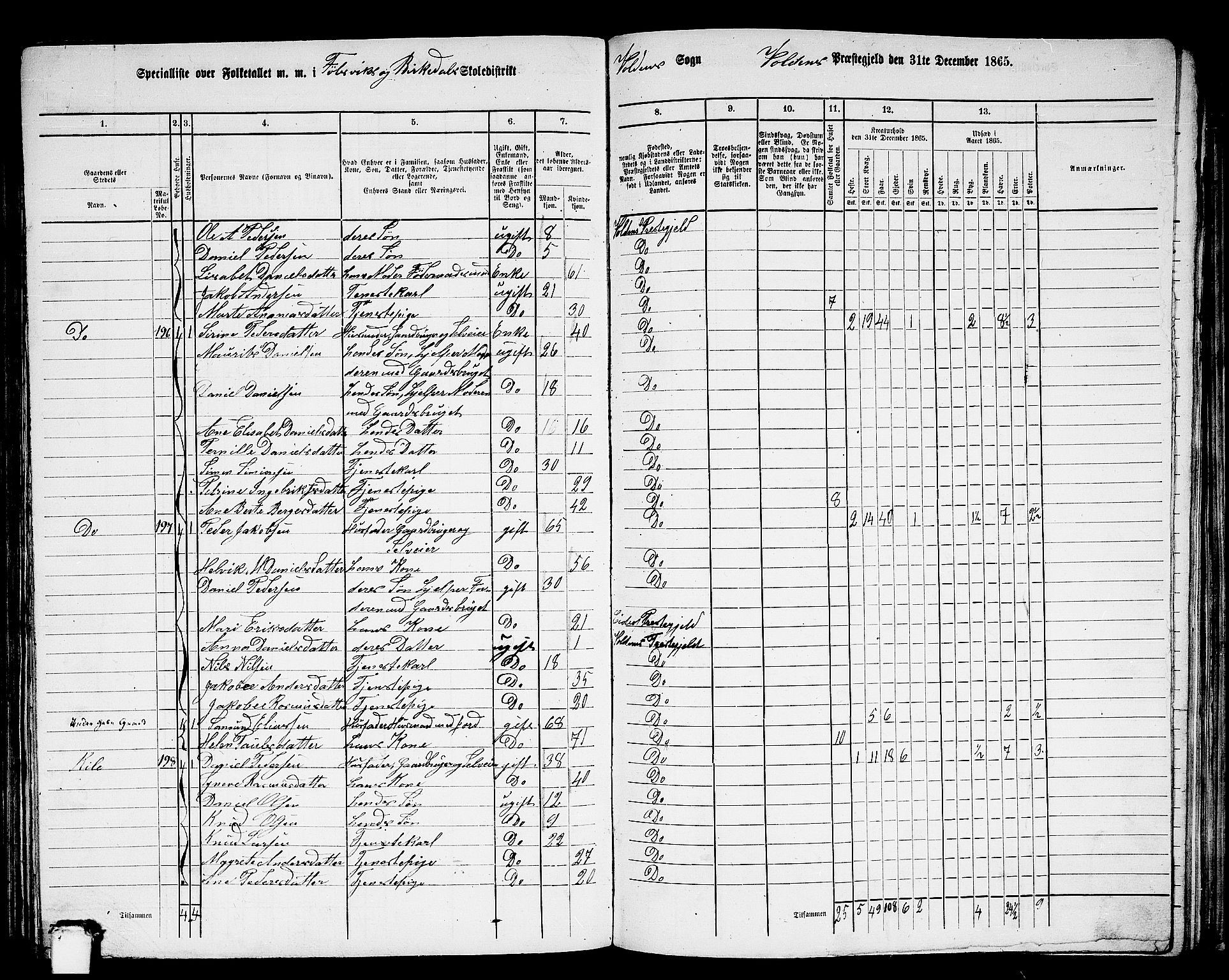 RA, 1865 census for Volda, 1865, p. 116