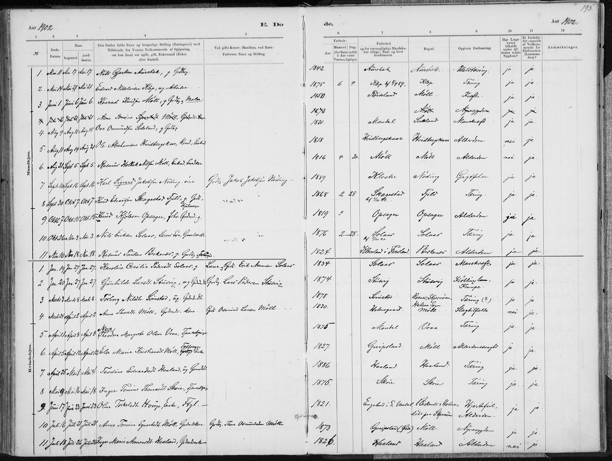 Holum sokneprestkontor, SAK/1111-0022/F/Fa/Faa/L0007: Parish register (official) no. A 7, 1884-1907, p. 195