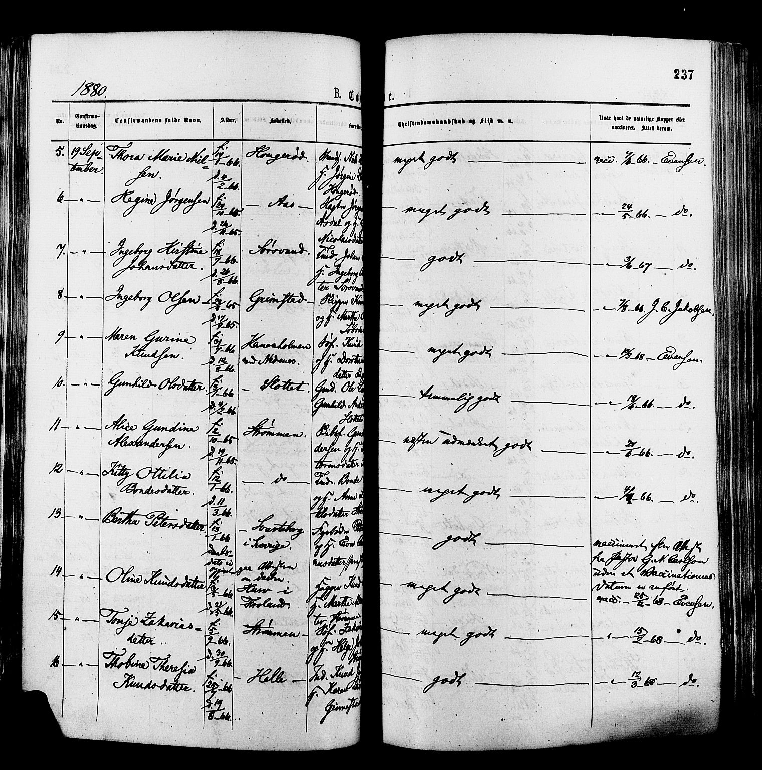 Øyestad sokneprestkontor, AV/SAK-1111-0049/F/Fa/L0016: Parish register (official) no. A 16, 1874-1886, p. 237