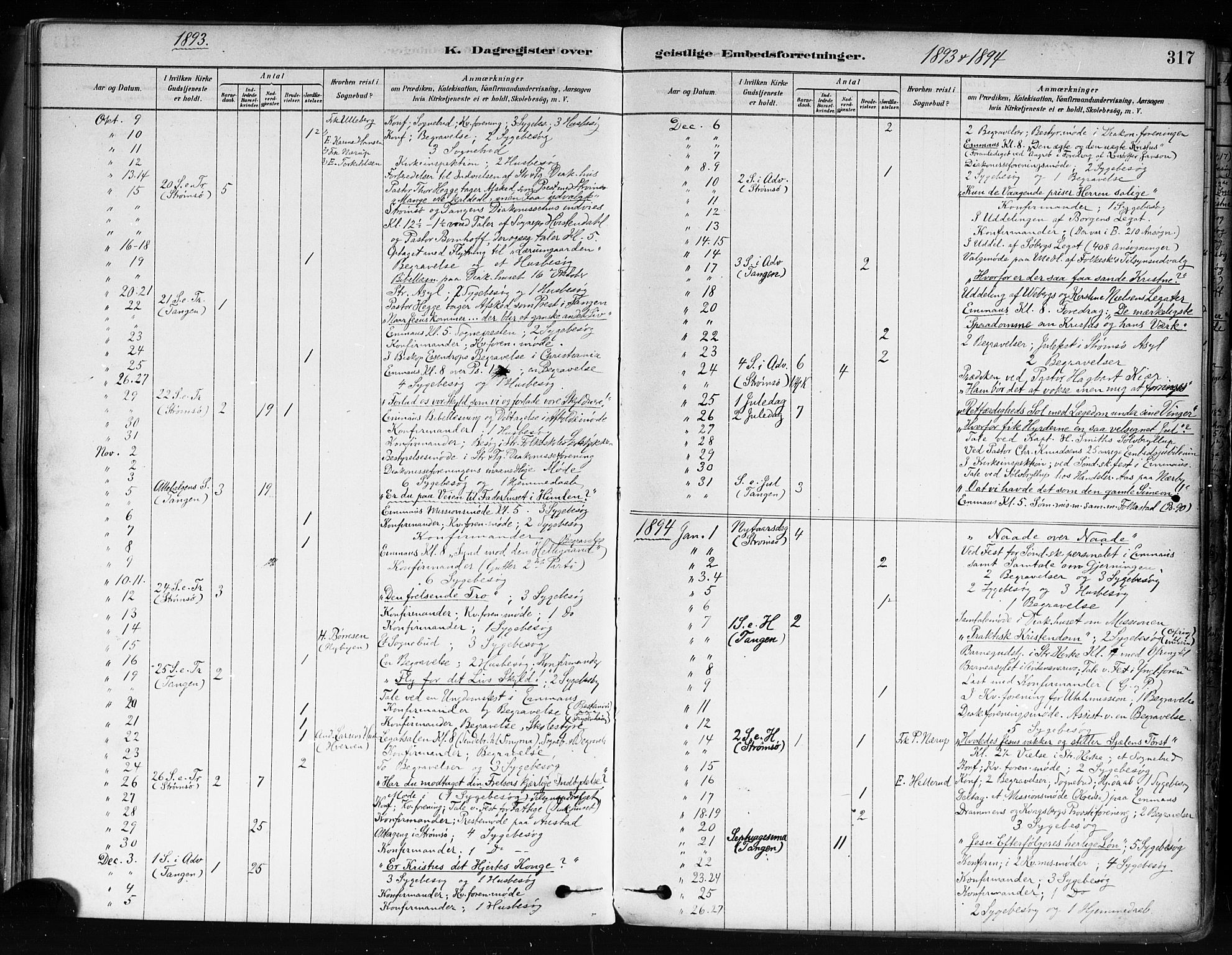 Strømsø kirkebøker, AV/SAKO-A-246/F/Fa/L0022: Parish register (official) no. I 22, 1879-1899, p. 317