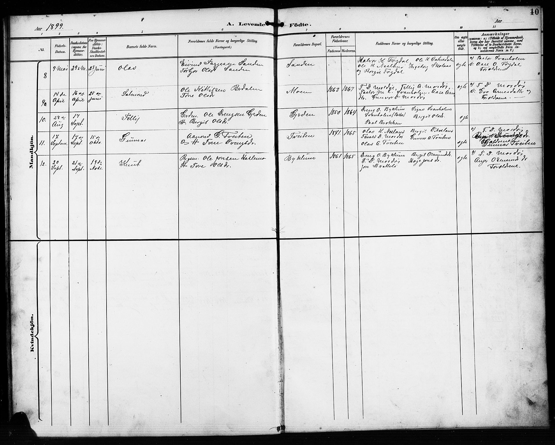 Valle sokneprestkontor, AV/SAK-1111-0044/F/Fb/Fba/L0003: Parish register (copy) no. B 3, 1895-1916, p. 10