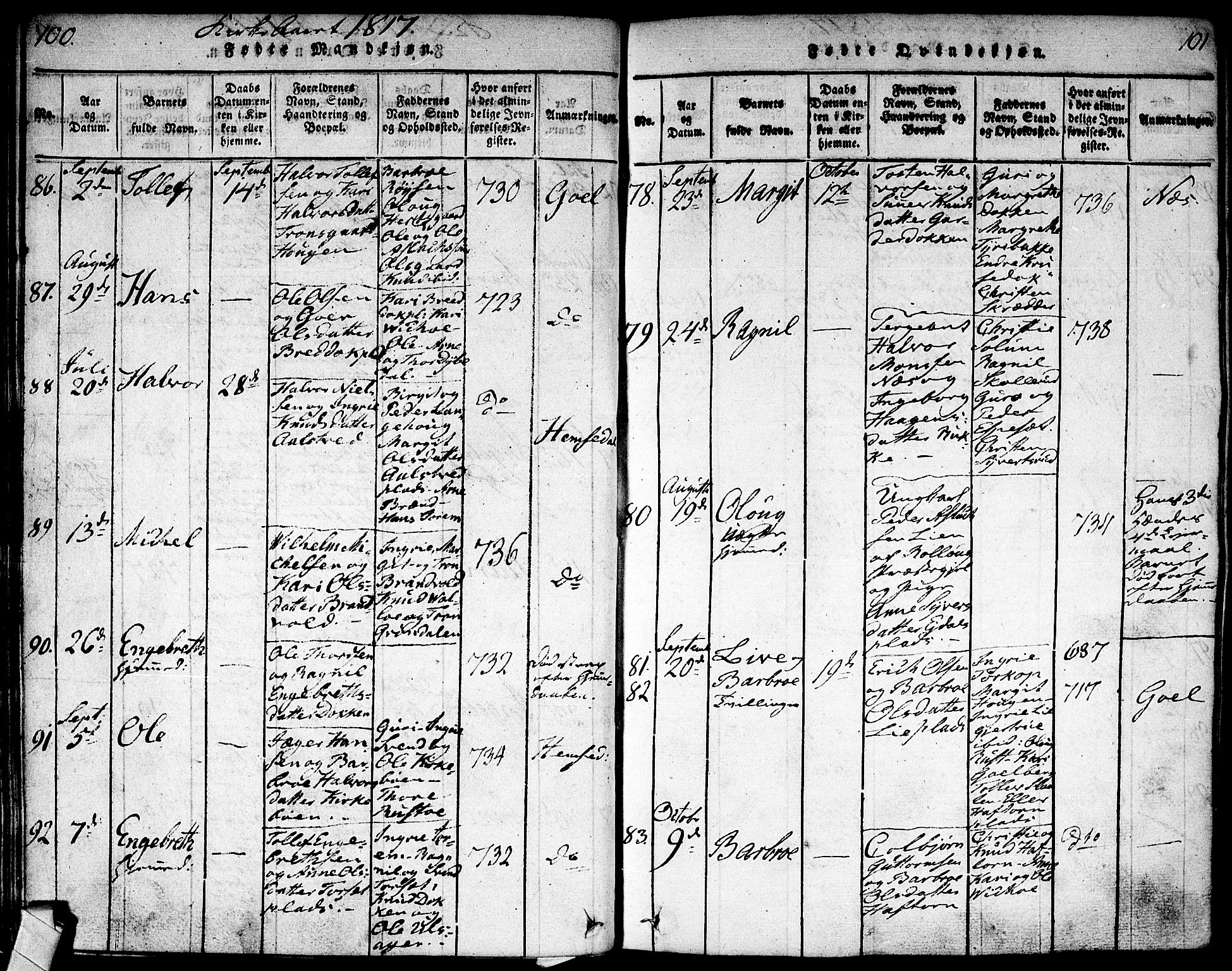 Nes kirkebøker, SAKO/A-236/F/Fa/L0007: Parish register (official) no. 7, 1815-1823, p. 100-101