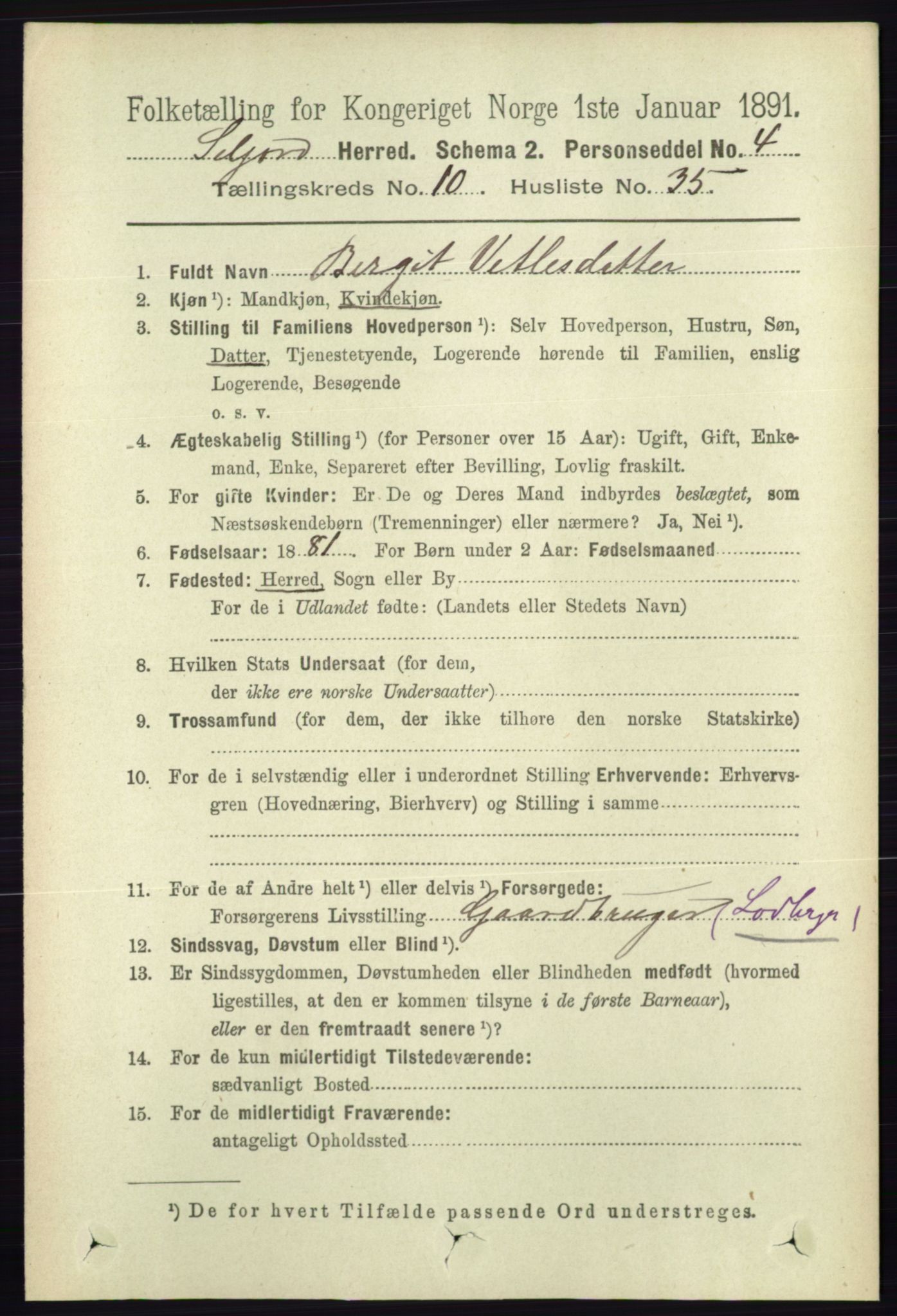 RA, 1891 census for 0828 Seljord, 1891, p. 3666