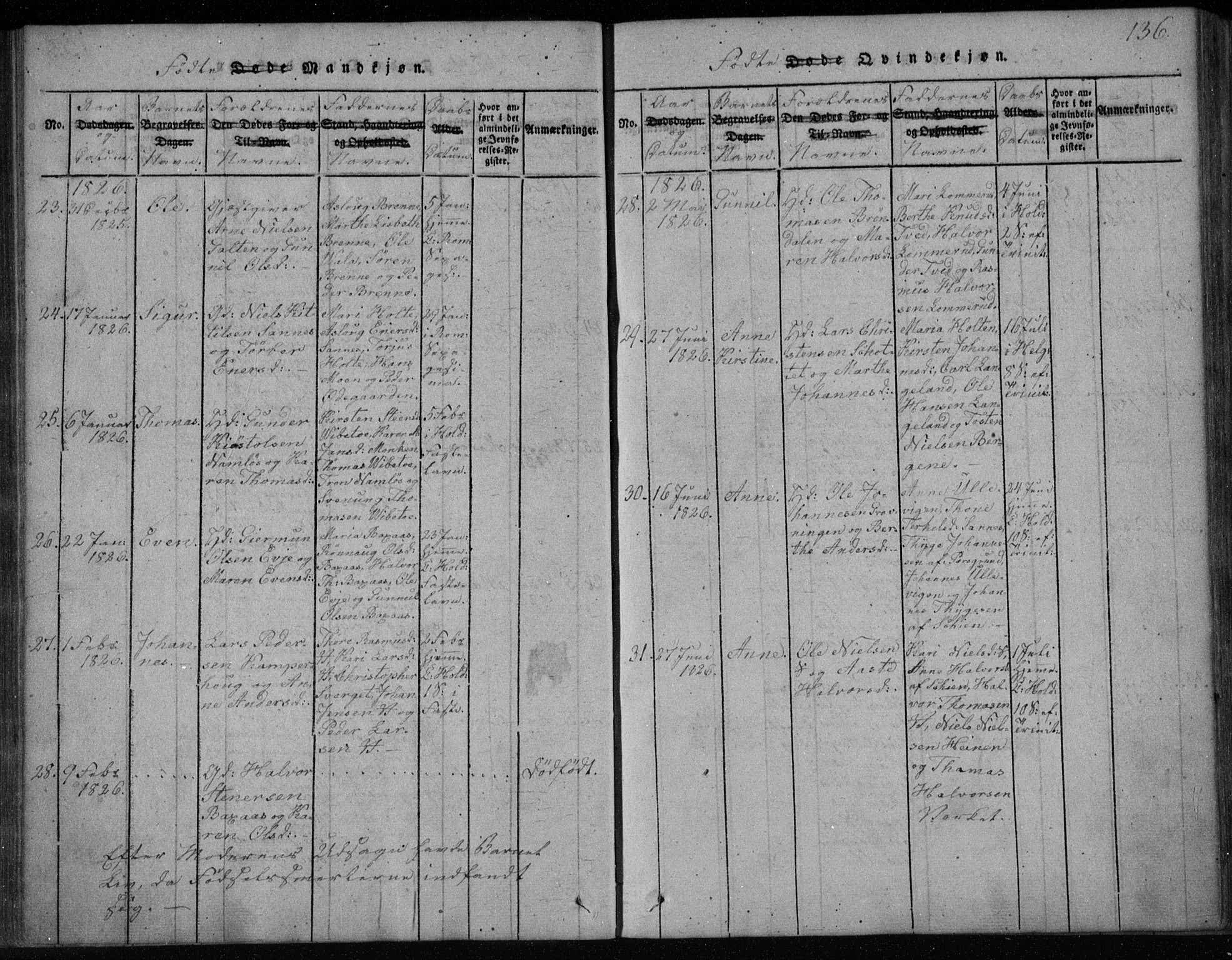 Holla kirkebøker, AV/SAKO-A-272/F/Fa/L0003: Parish register (official) no. 3, 1815-1830, p. 136