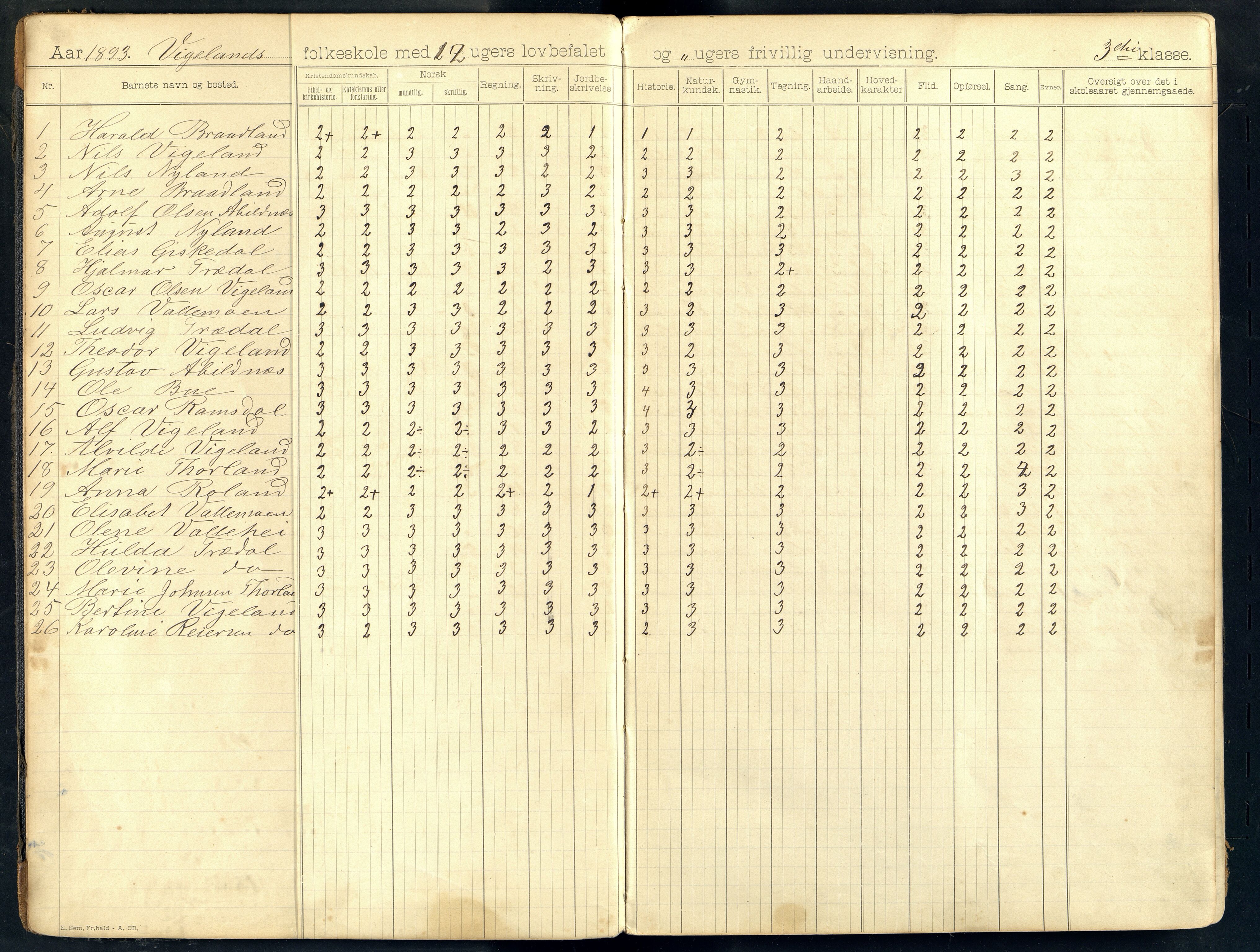 Sør-Audnedal kommune - Nyplass Skole, ARKSOR/1029SØ558/G/L0003: Skoleprotokoll, 1893-1908