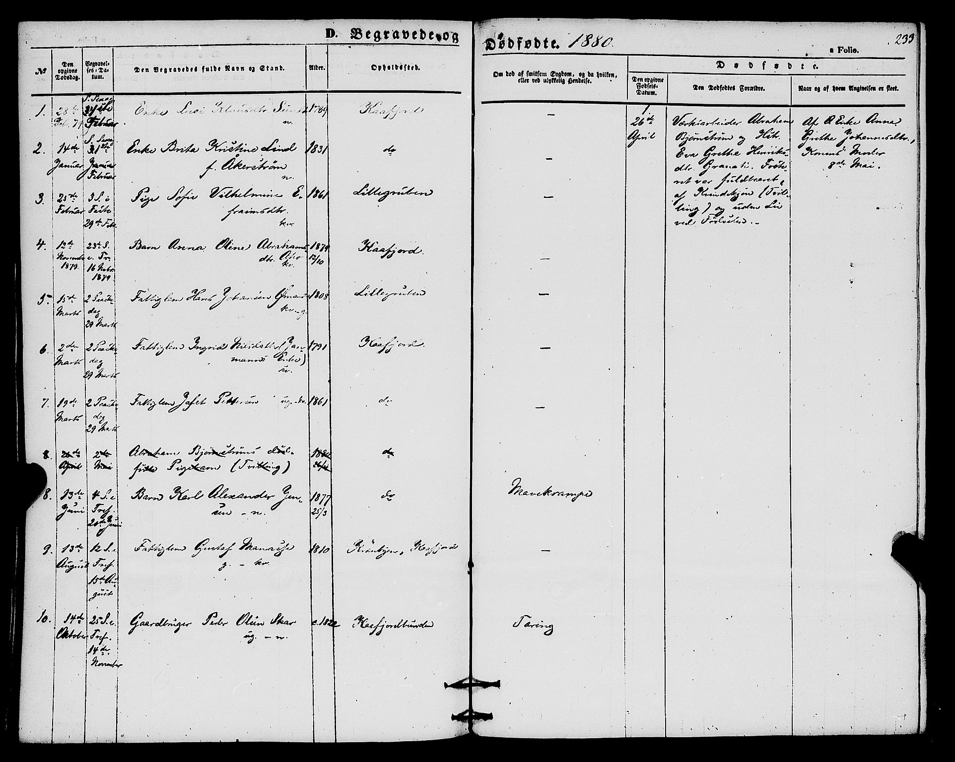 Alta sokneprestkontor, SATØ/S-1338/H/Ha/L0004.kirke: Parish register (official) no. 4, 1858-1880, p. 233