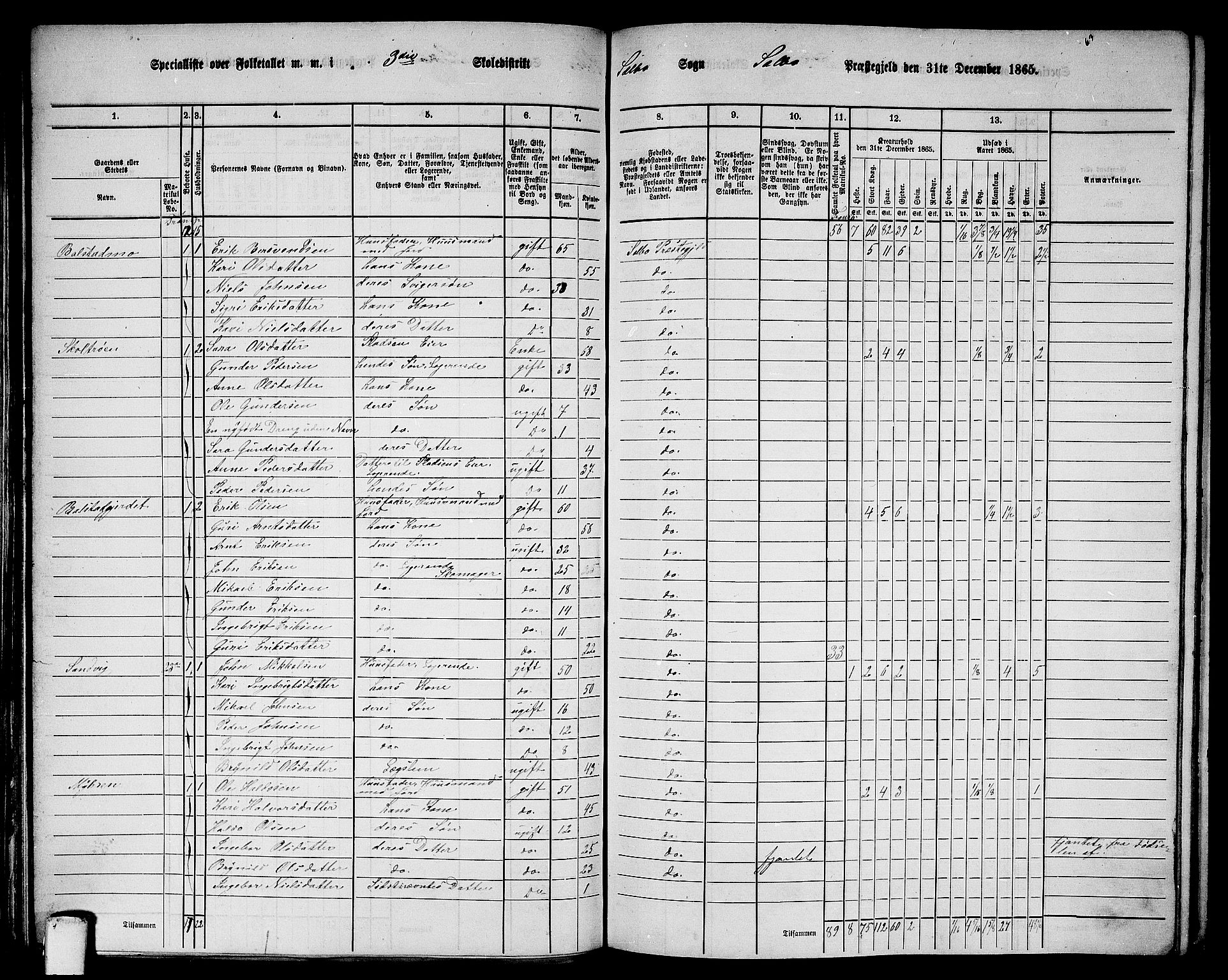 RA, 1865 census for Selbu, 1865, p. 38