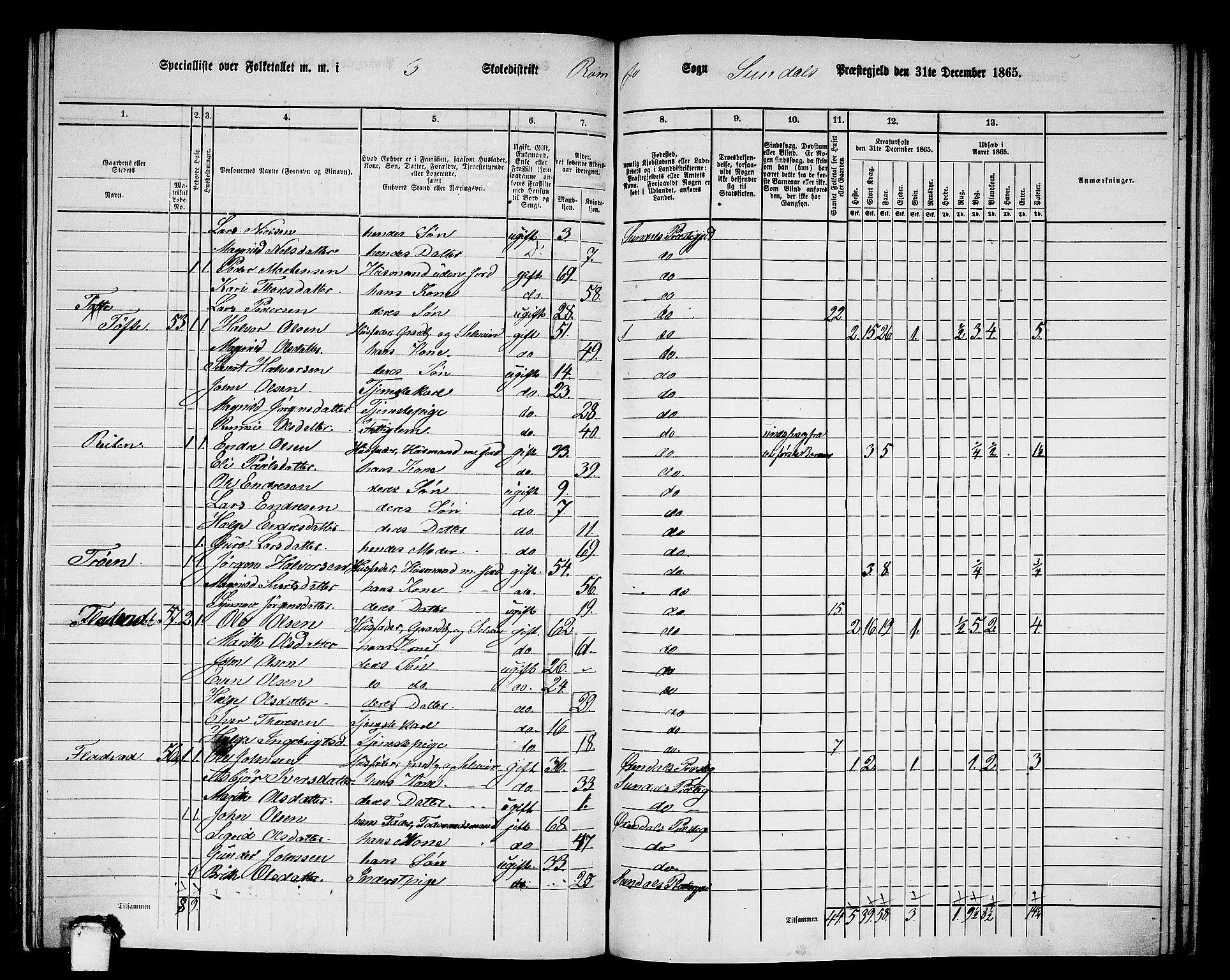 RA, 1865 census for Sunndal, 1865, p. 51