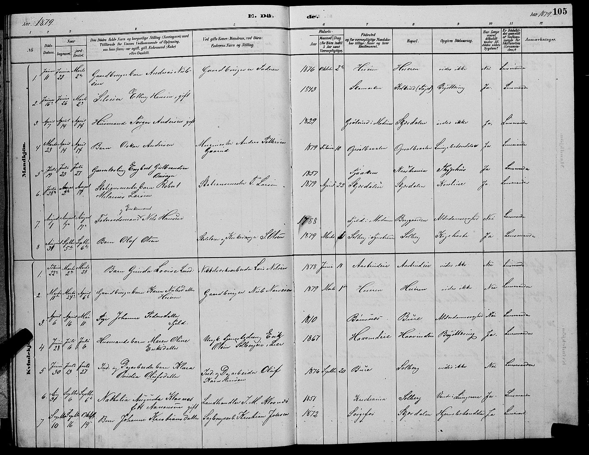 Hole kirkebøker, SAKO/A-228/G/Gb/L0002: Parish register (copy) no. II 2, 1878-1889, p. 105
