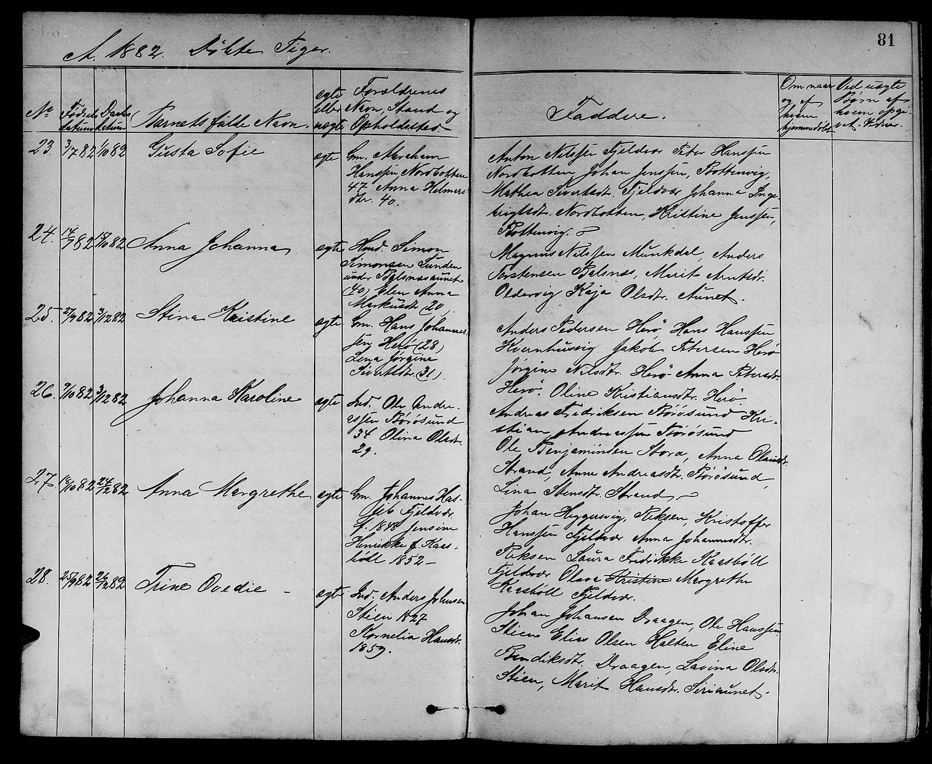 Ministerialprotokoller, klokkerbøker og fødselsregistre - Sør-Trøndelag, AV/SAT-A-1456/637/L0561: Parish register (copy) no. 637C02, 1873-1882, p. 81