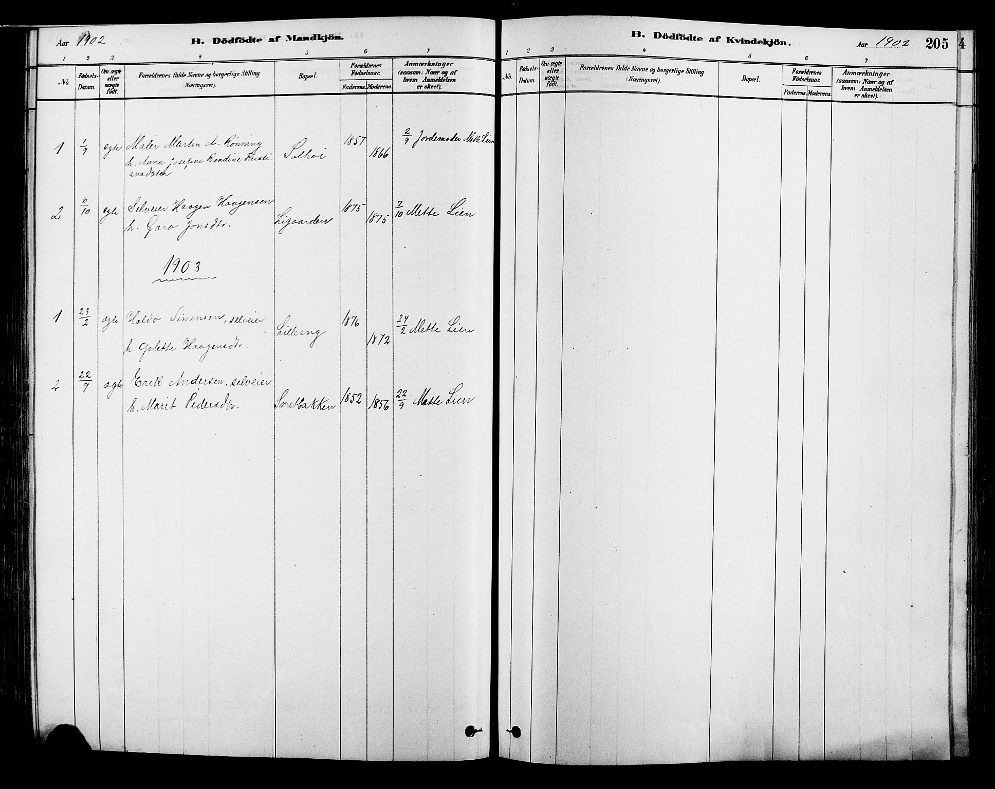 Alvdal prestekontor, SAH/PREST-060/H/Ha/Hab/L0003: Parish register (copy) no. 3, 1878-1907, p. 205