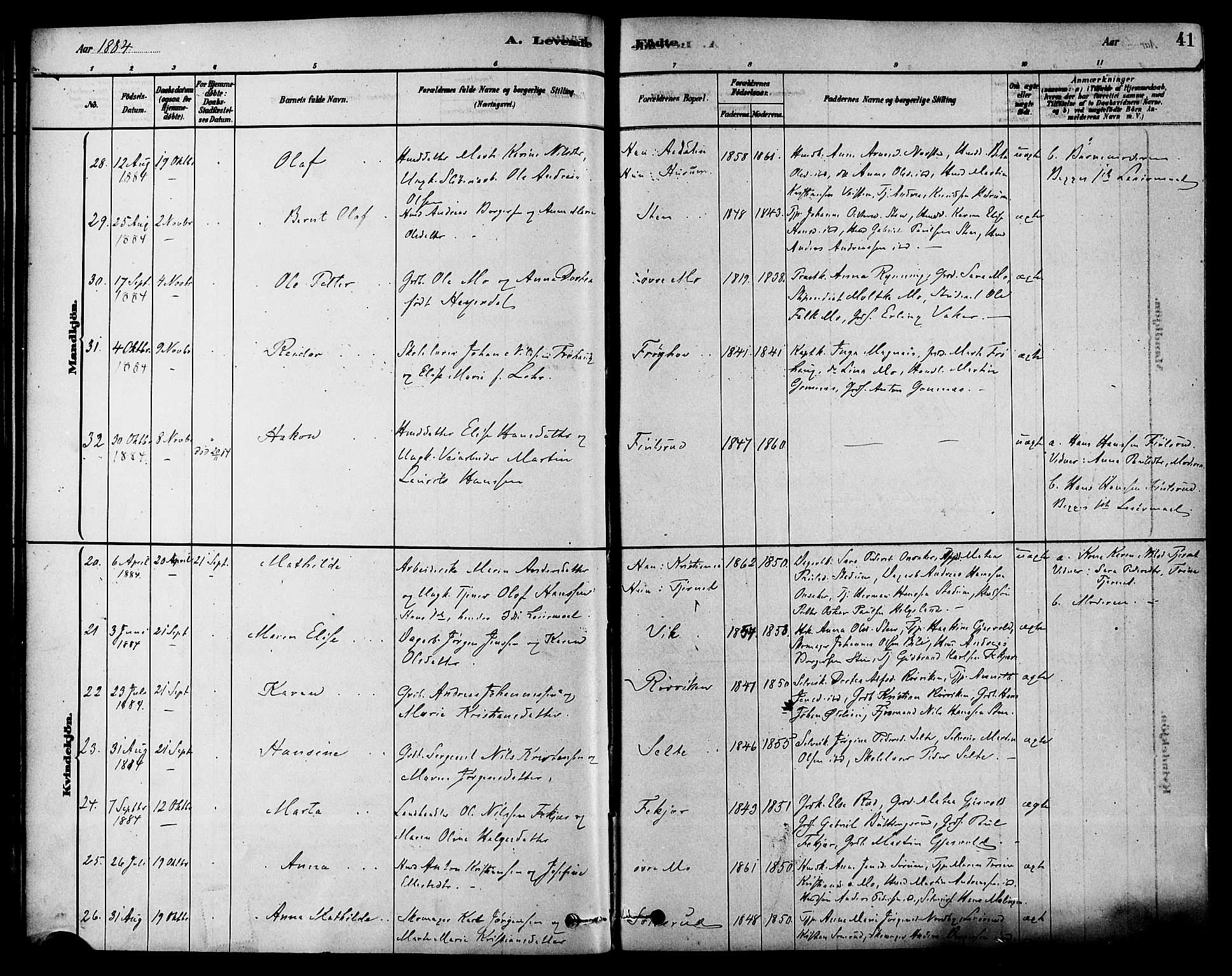 Hole kirkebøker, SAKO/A-228/F/Fa/L0008: Parish register (official) no. I 8, 1878-1891, p. 41